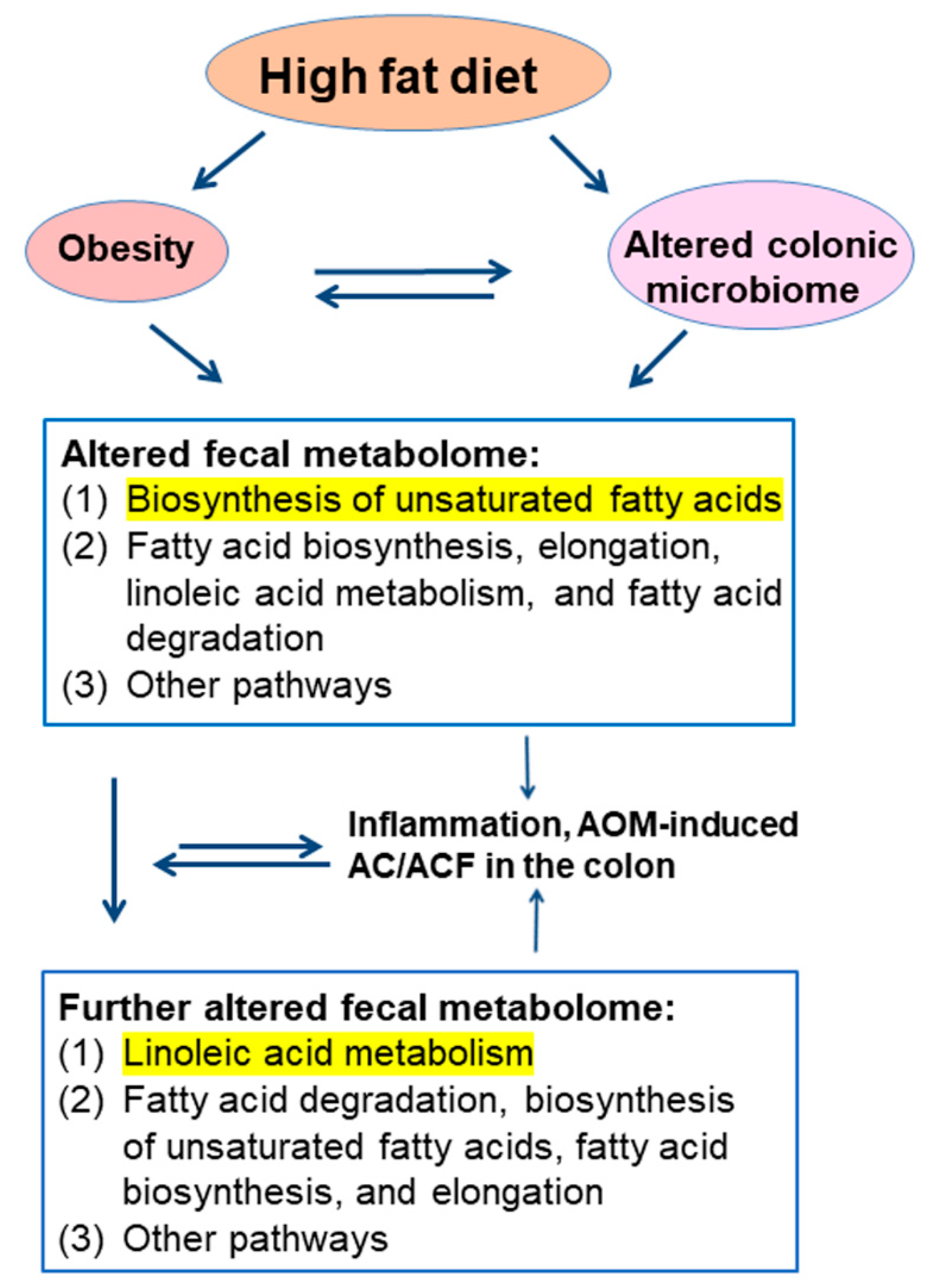 Biomedicines 10 02891 g006 Biomedicines 10 02891 g006