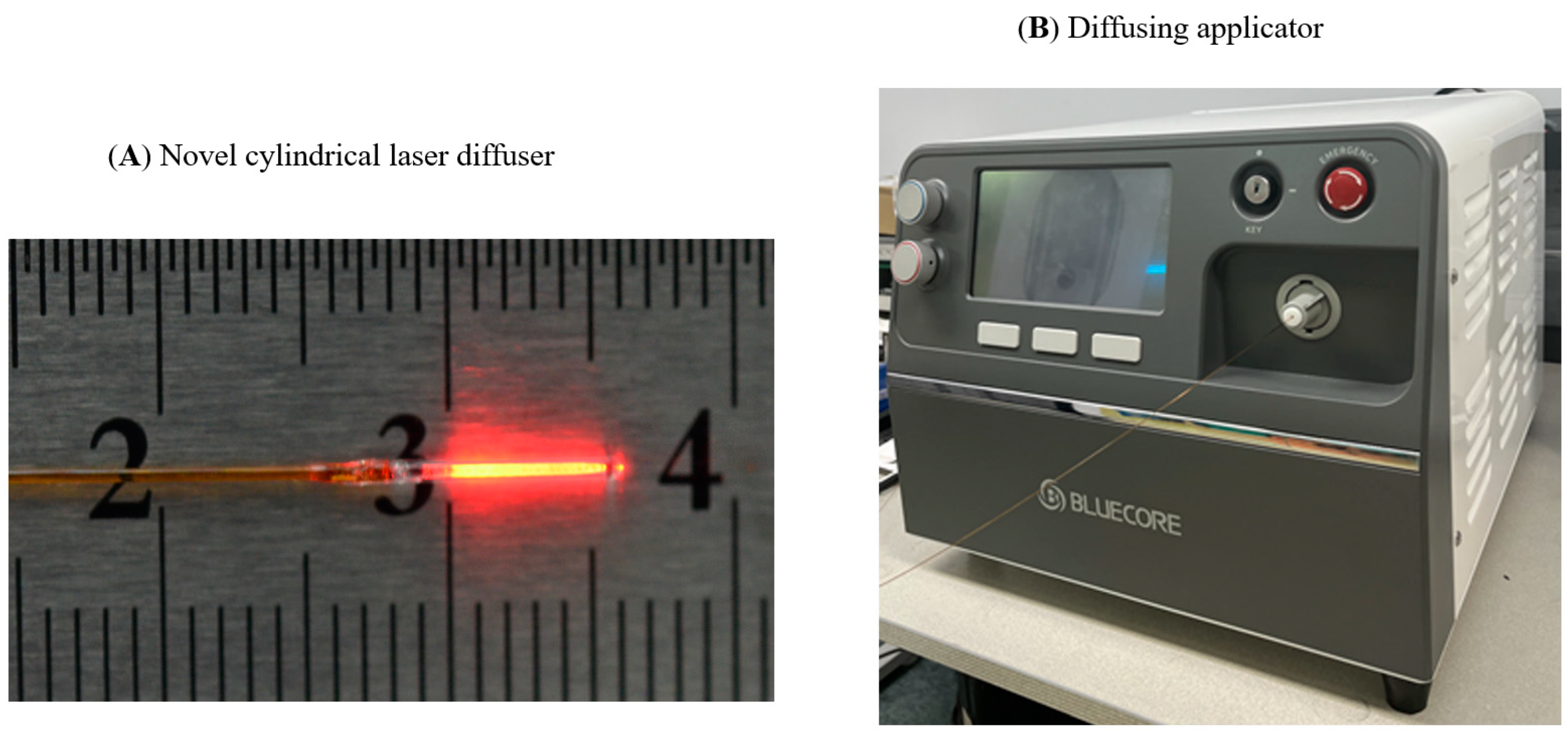 Biomedicines 10 02895 g001 Biomedicines 10 02895 g001