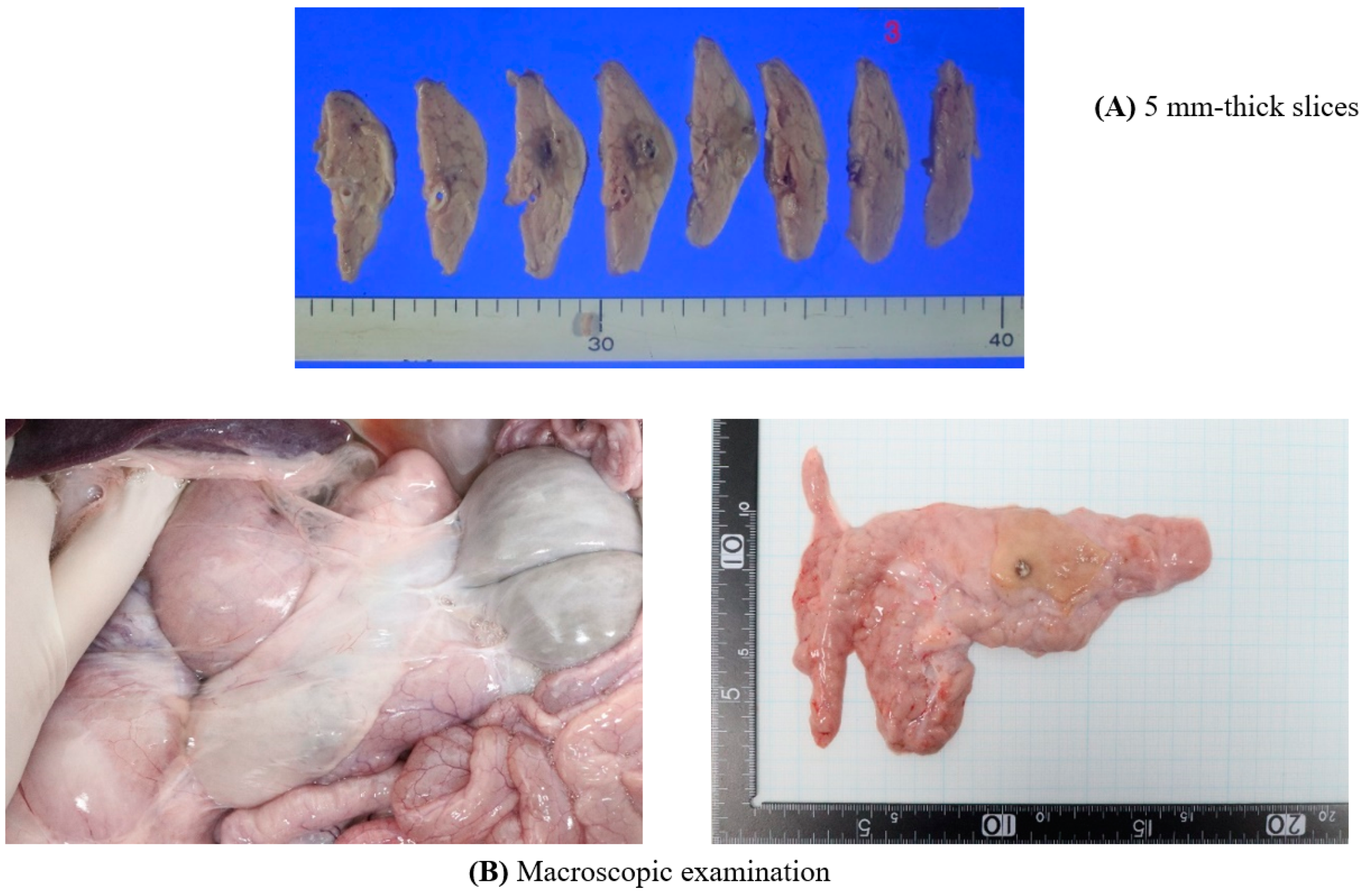 Biomedicines 10 02895 g003 Biomedicines 10 02895 g003
