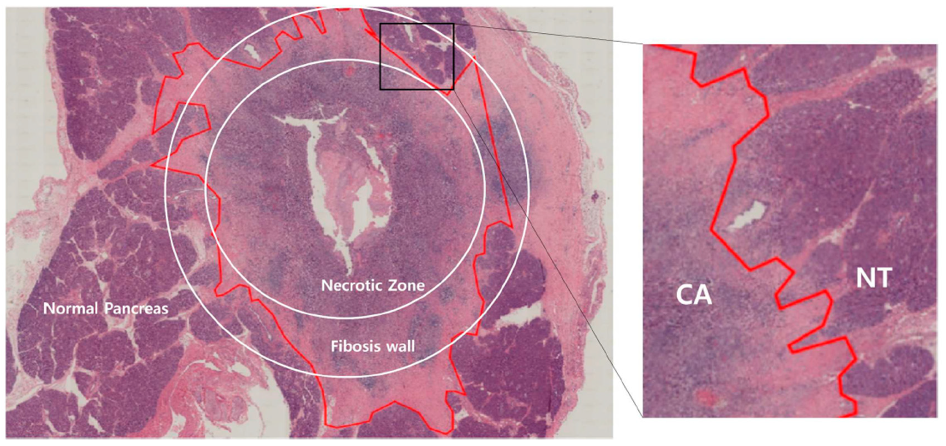 Biomedicines 10 02895 g004 Biomedicines 10 02895 g004