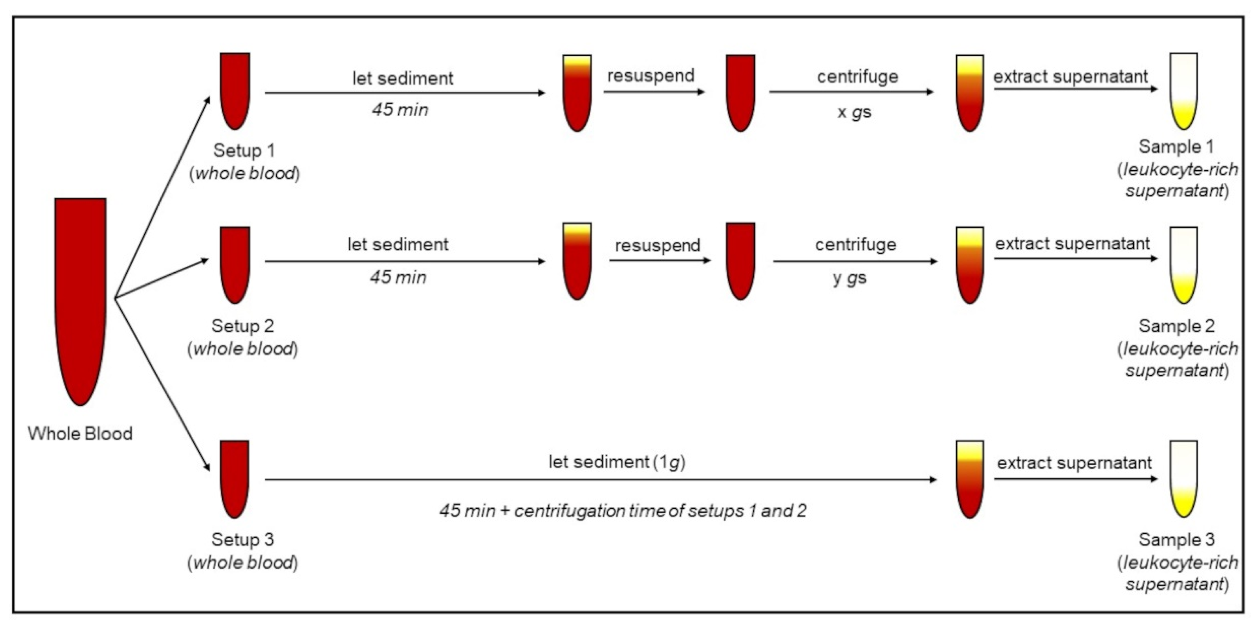 Biomedicines 10 02896 g002