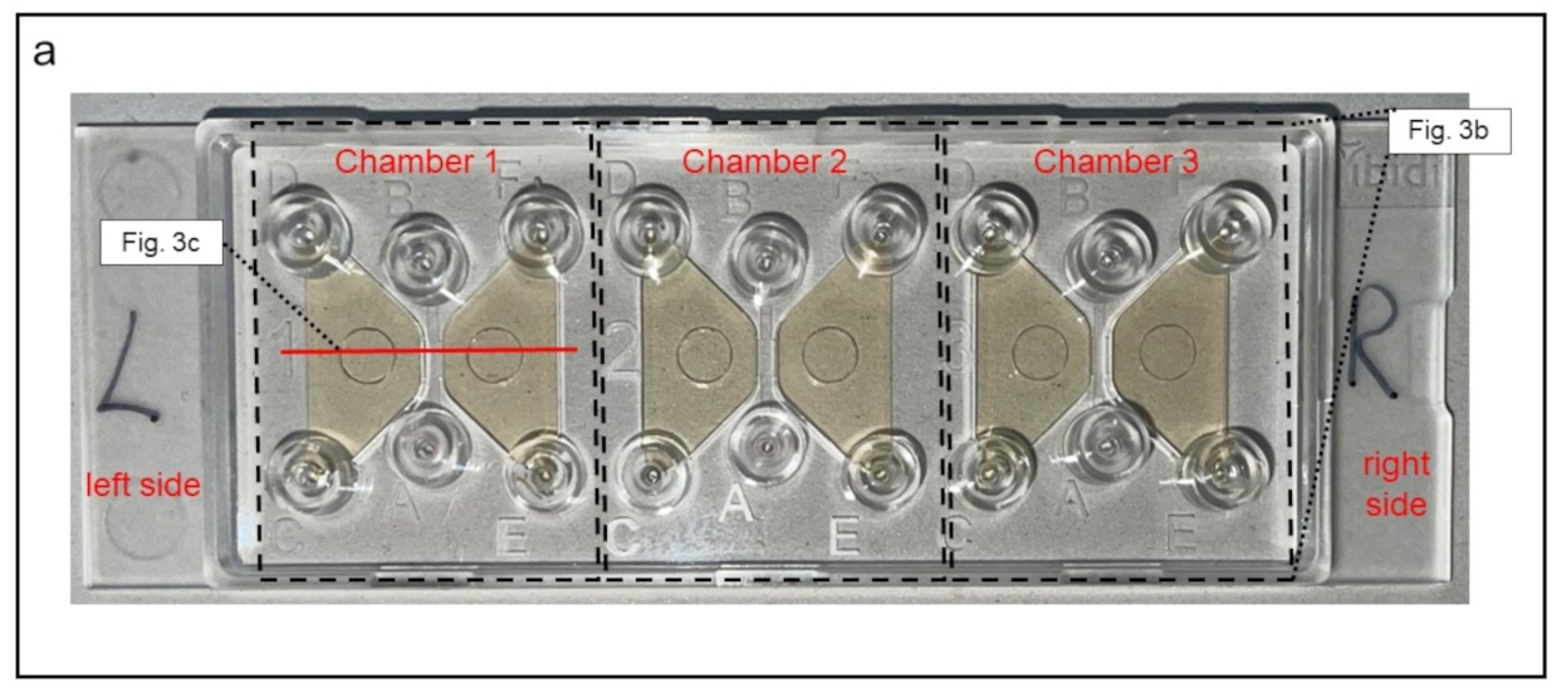 Biomedicines 10 02896 g003a