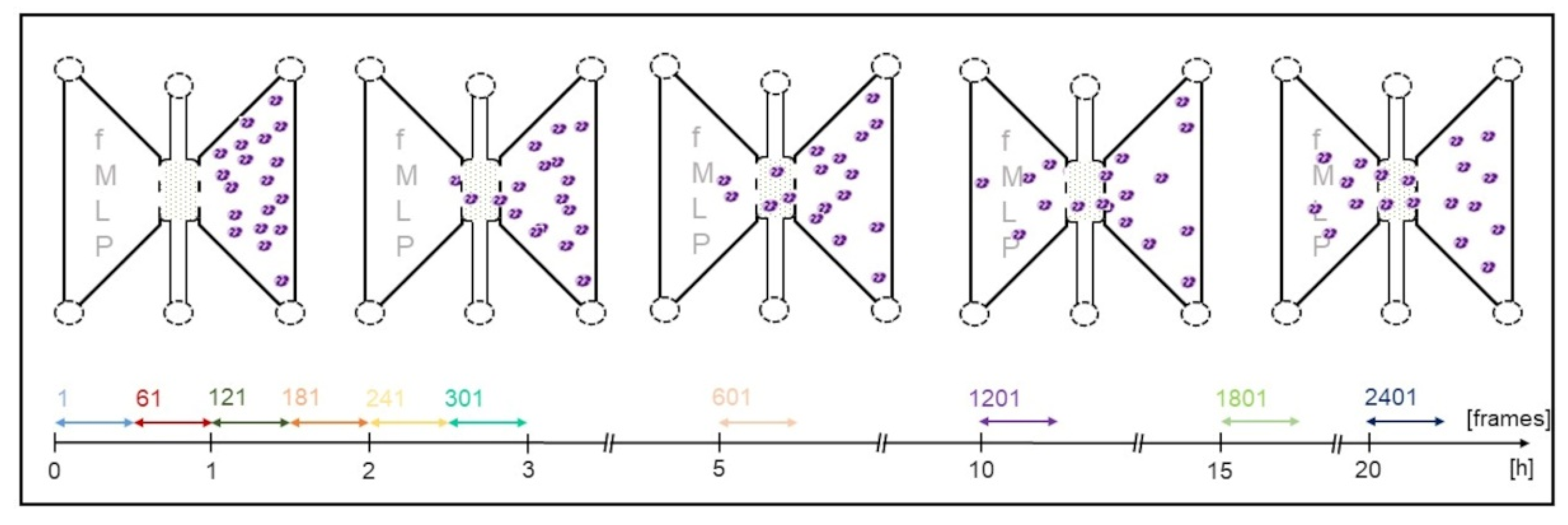 Biomedicines 10 02896 g004