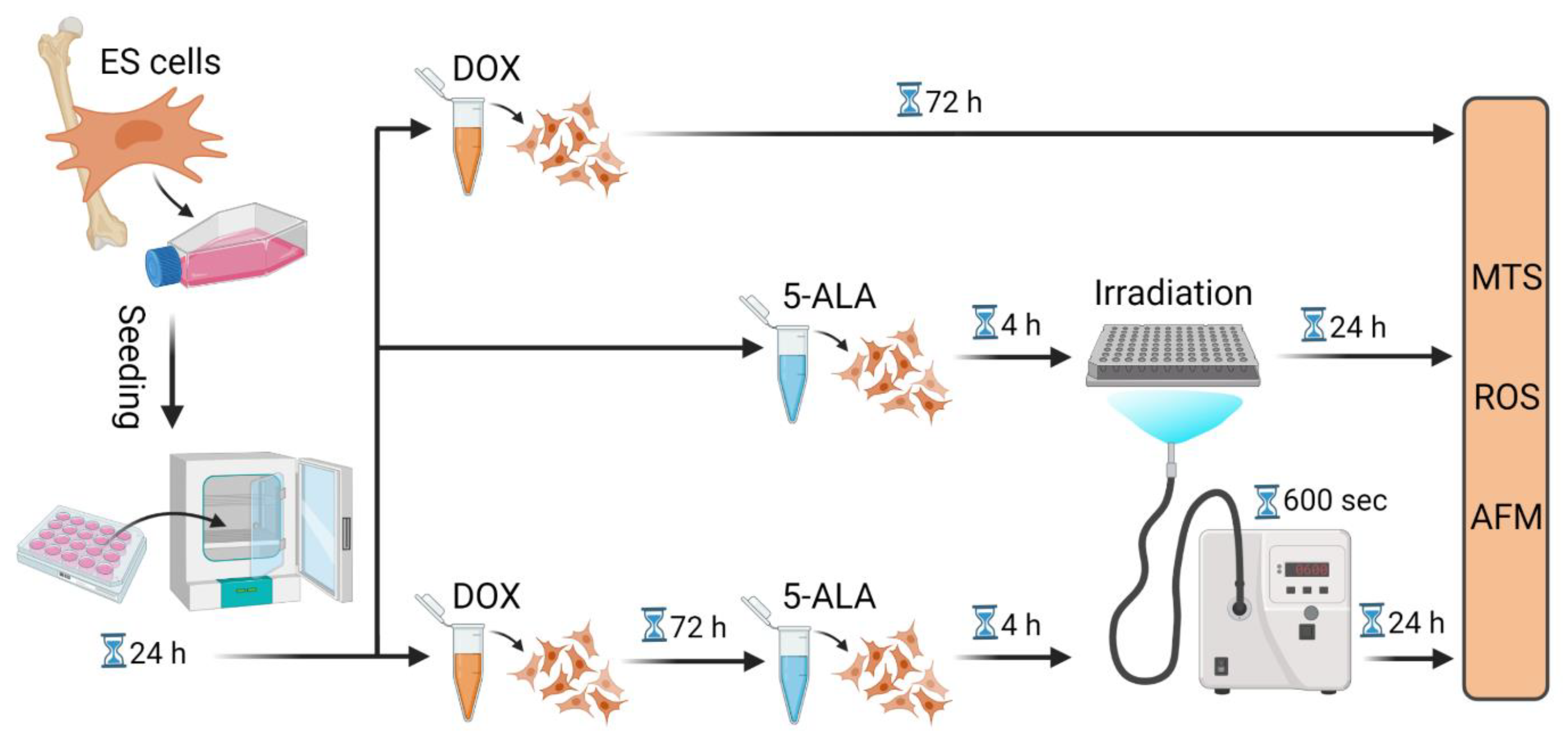 Biomedicines 10 02900 g001 Biomedicines 10 02900 g001