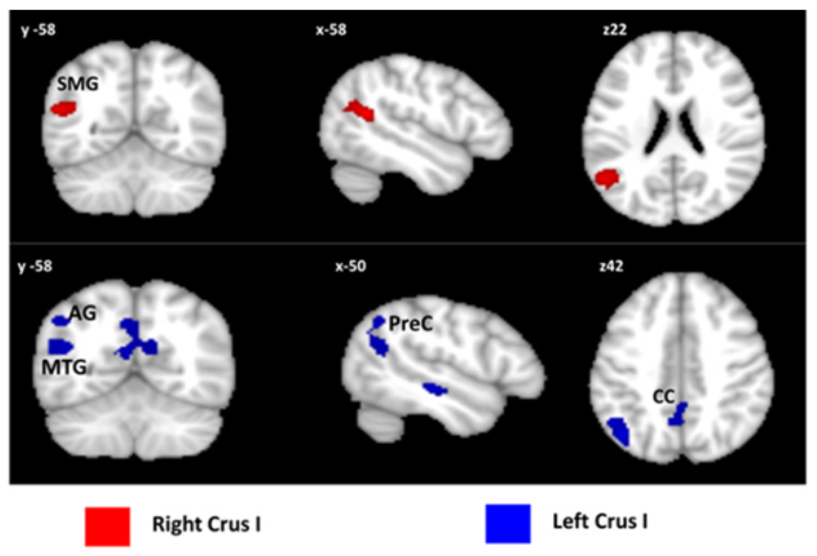 Biomedicines 10 02901 g003 Biomedicines 10 02901 g003