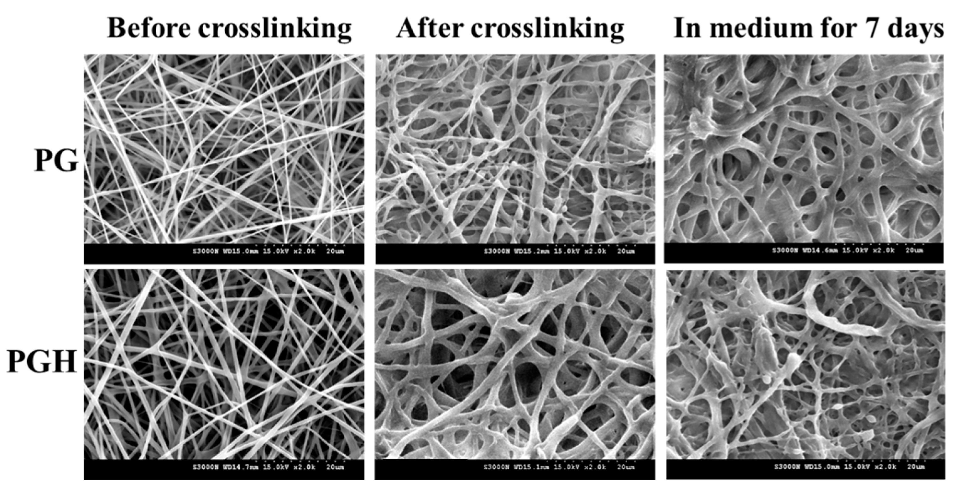 Biomedicines 10 02902 g001