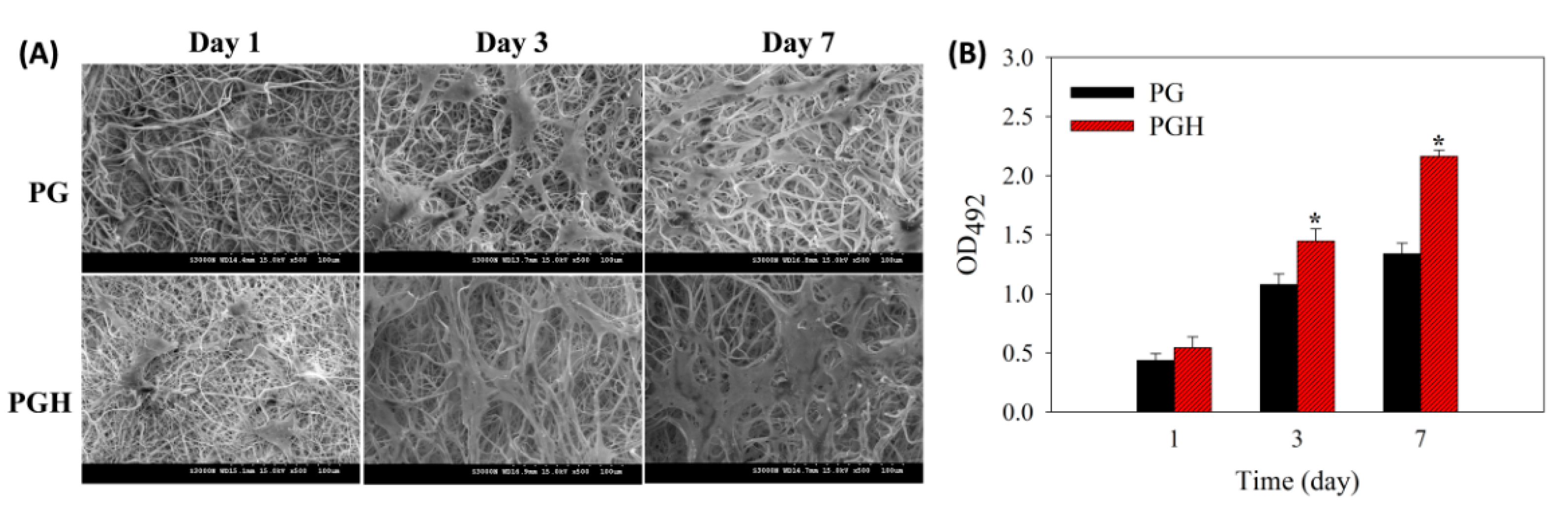 Biomedicines 10 02902 g004