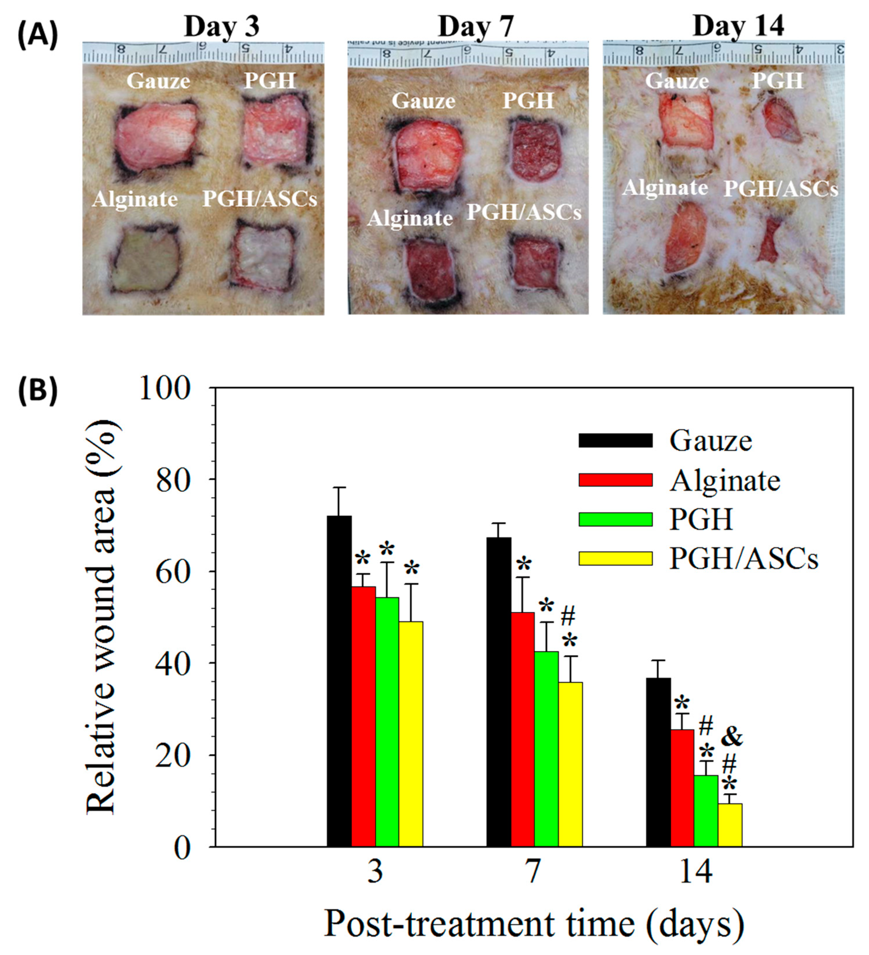Biomedicines 10 02902 g007