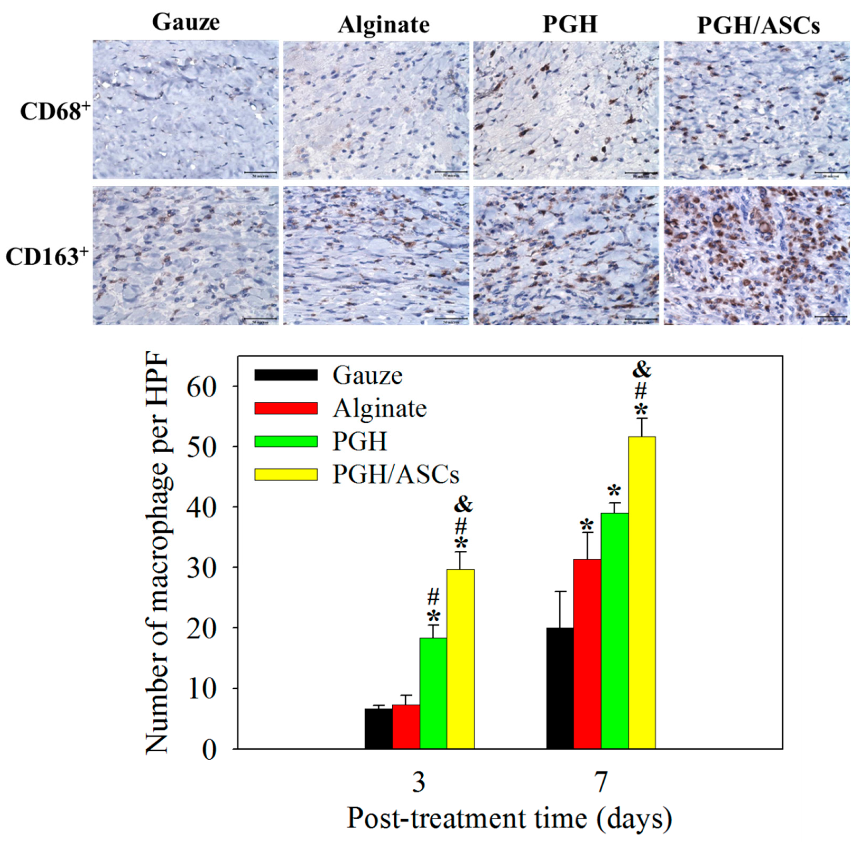 Biomedicines 10 02902 g009
