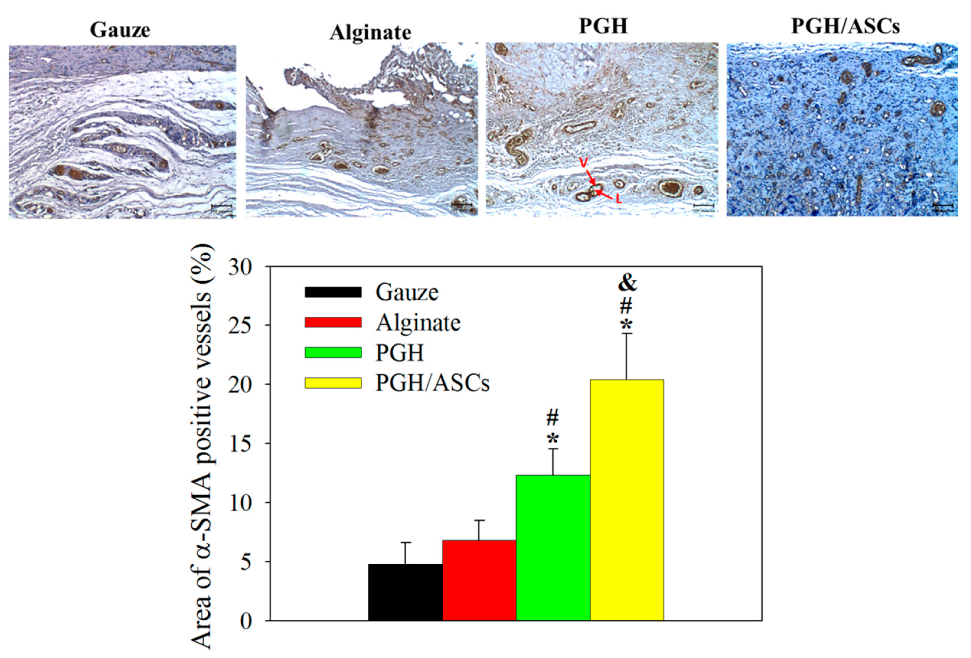 Biomedicines 10 02902 g010