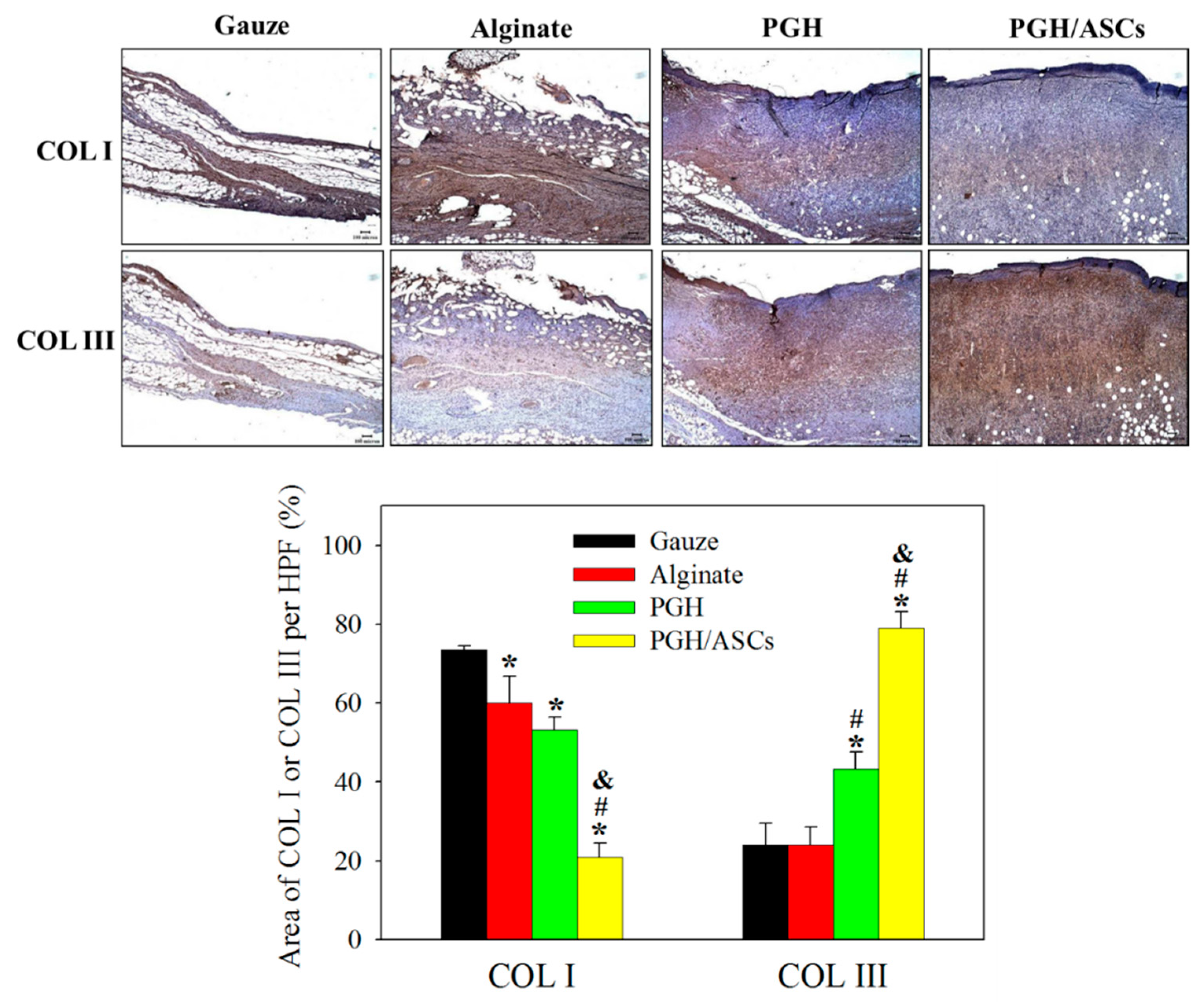 Biomedicines 10 02902 g011