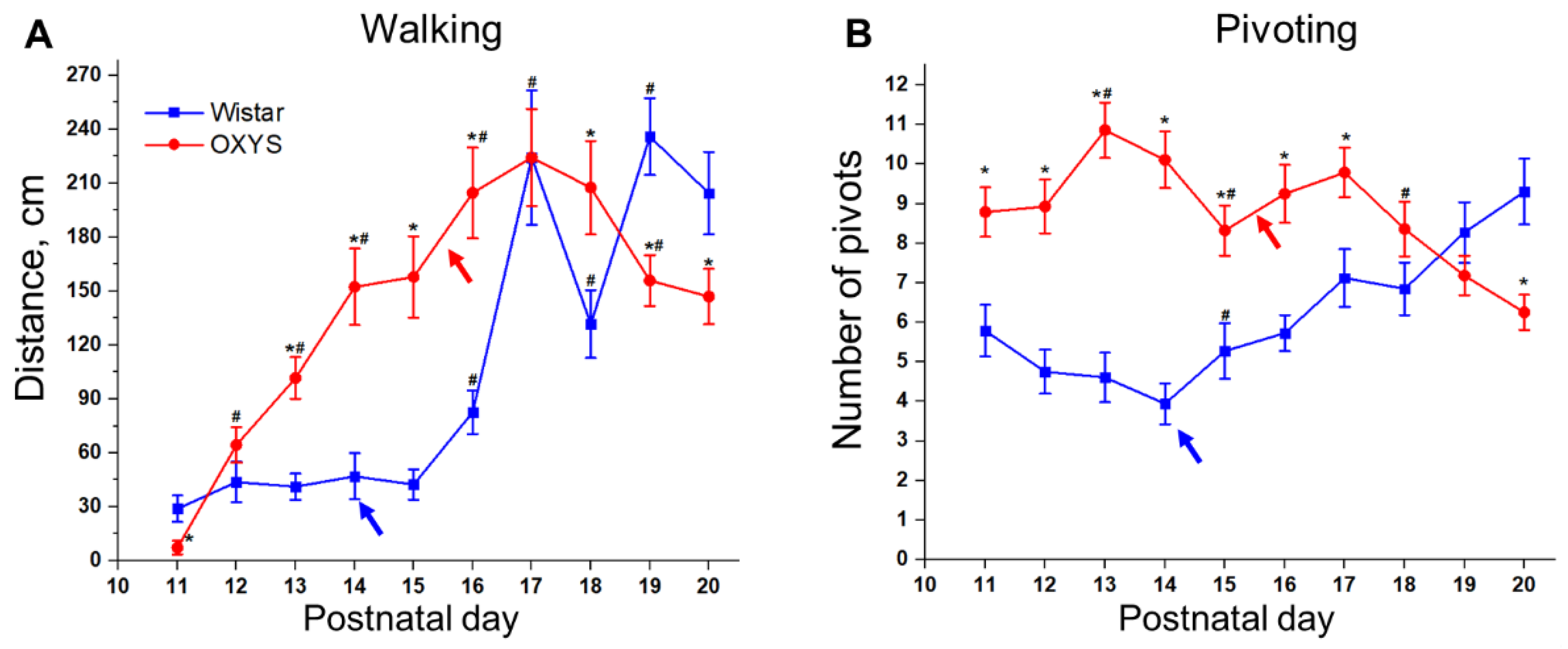 Biomedicines 10 02910 g003 Biomedicines 10 02910 g003