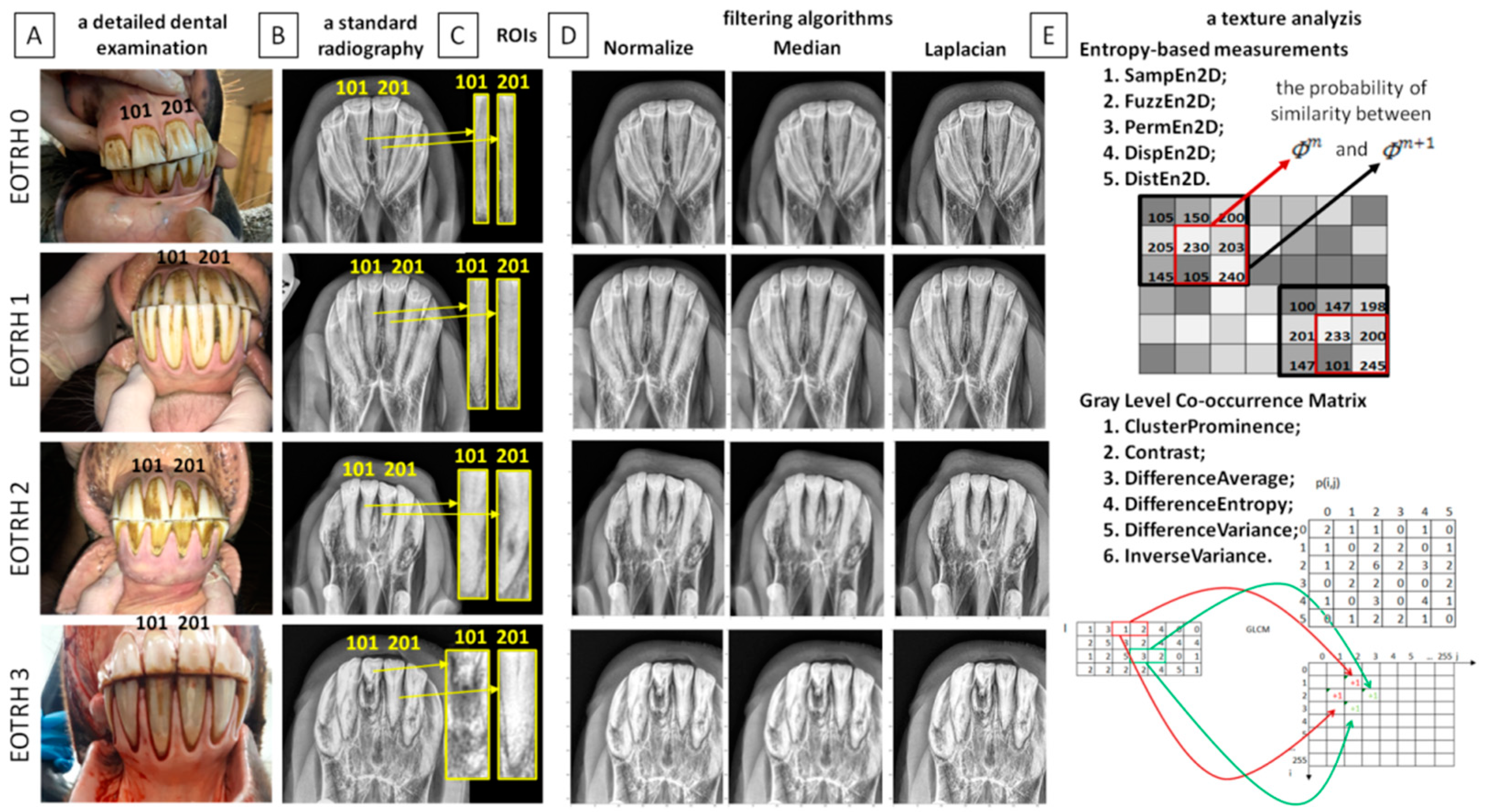 Biomedicines 10 02914 g001
