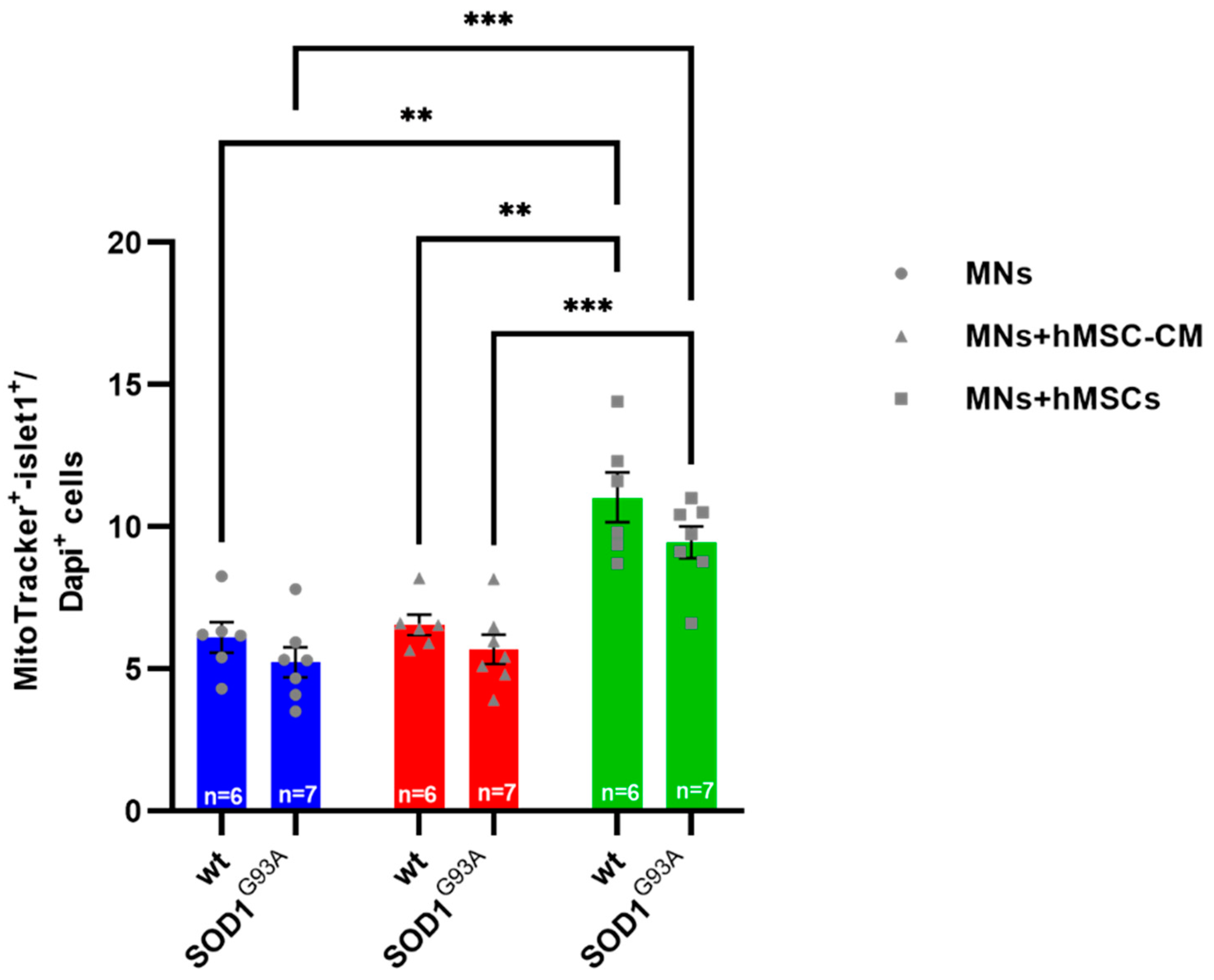 Biomedicines 10 02916 g002 Biomedicines 10 02916 g002