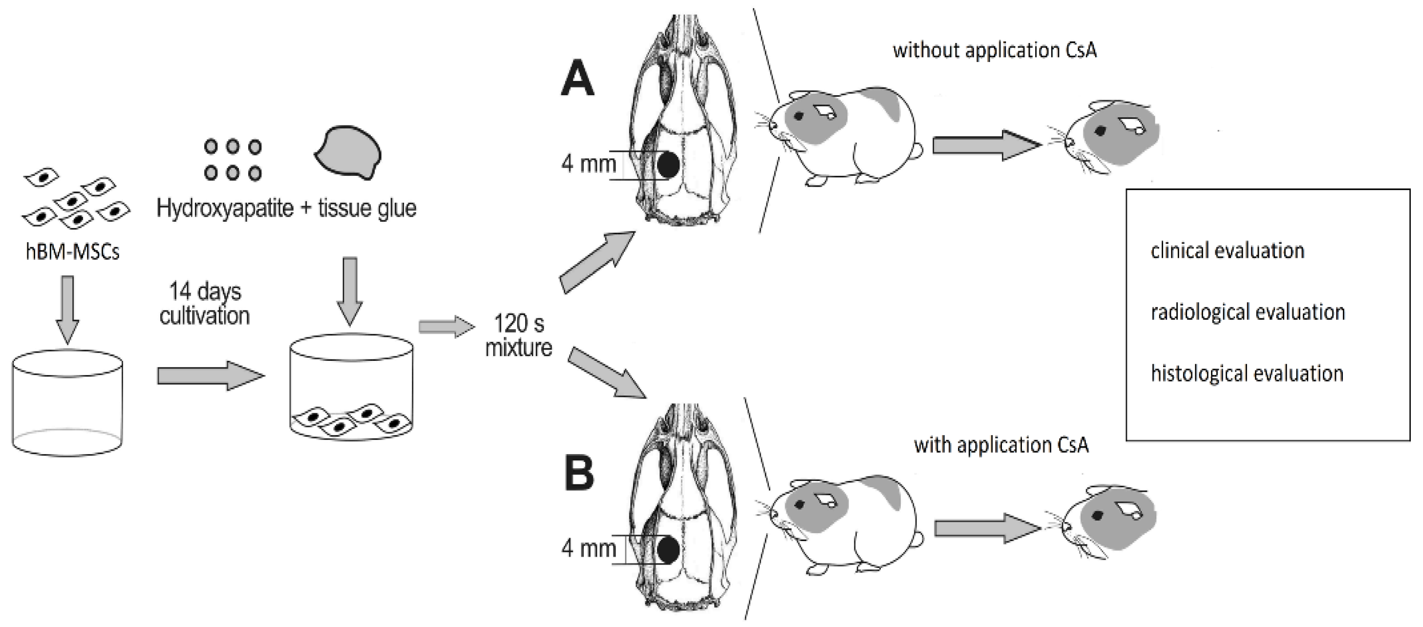 Biomedicines 10 02918 g001