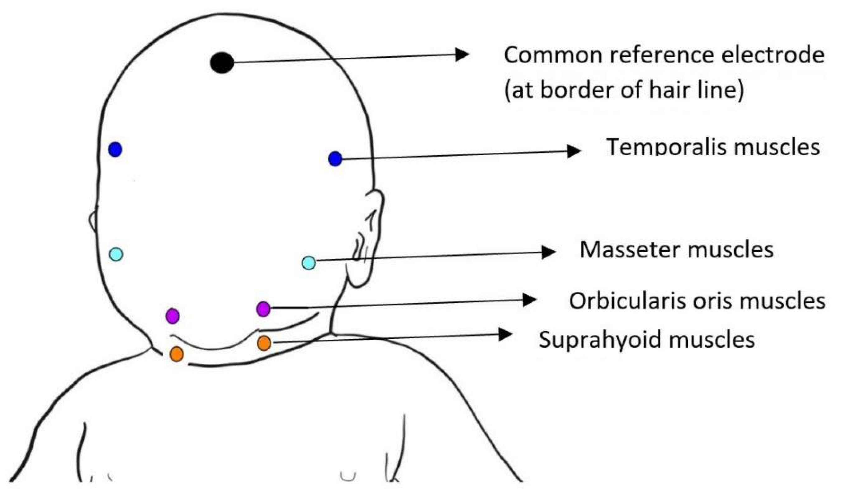 Biomedicines 10 02921 g001