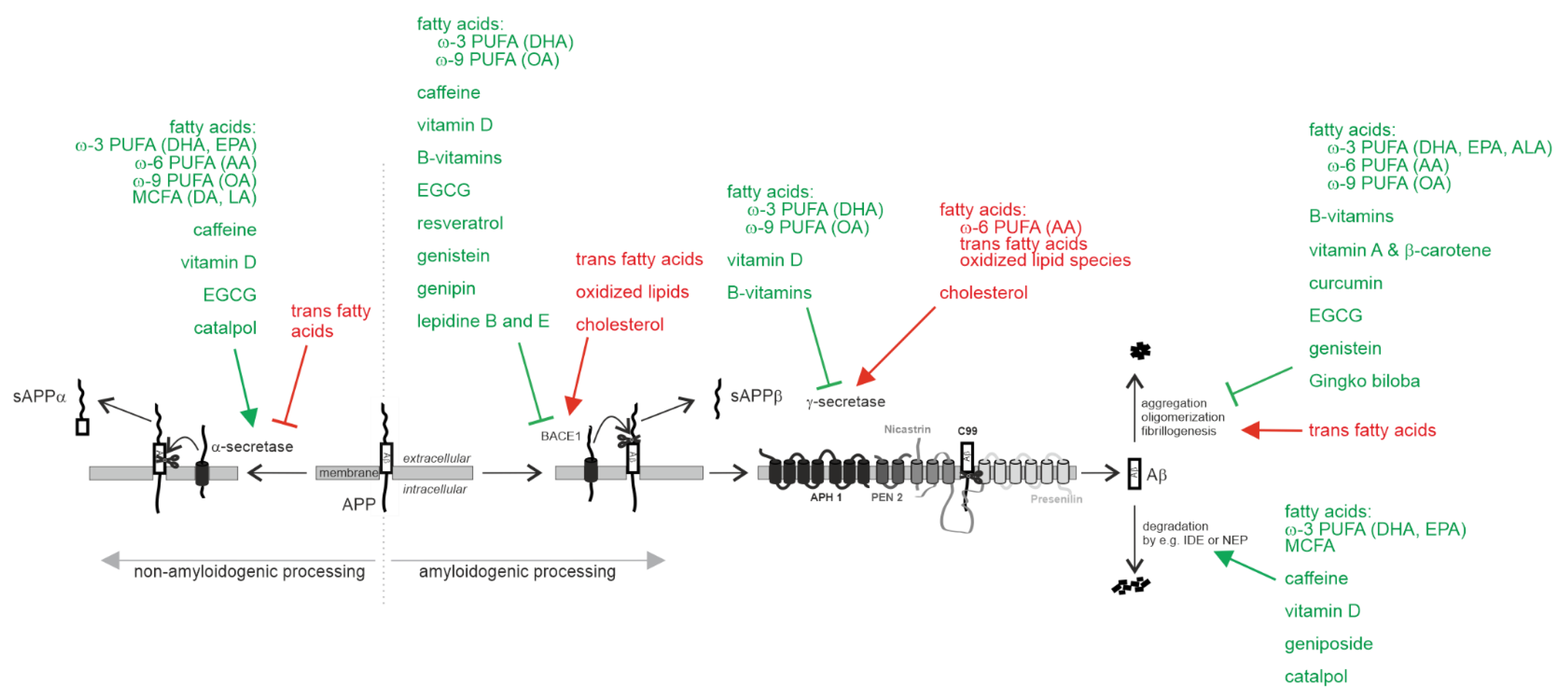 Biomedicines 10 02922 g001 Biomedicines 10 02922 g001