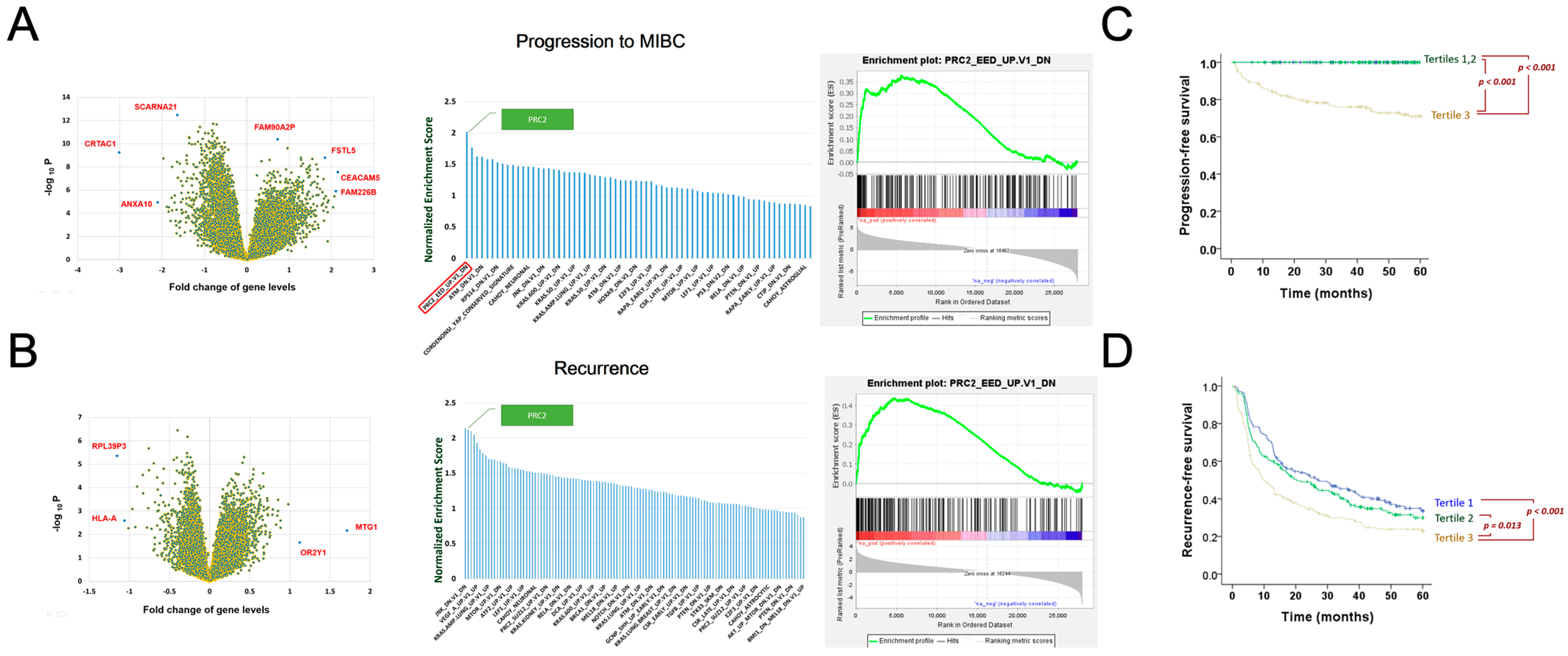 Biomedicines 10 02925 g001 Biomedicines 10 02925 g001