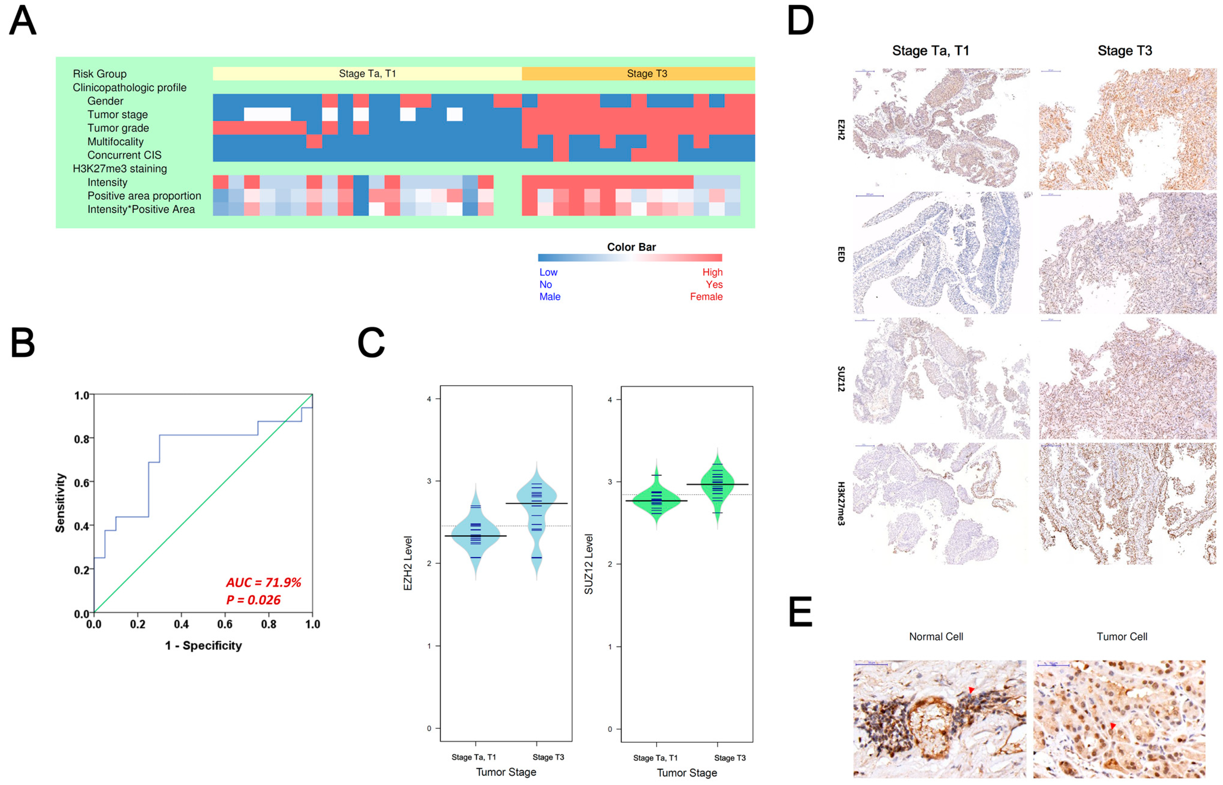 Biomedicines 10 02925 g002 Biomedicines 10 02925 g002