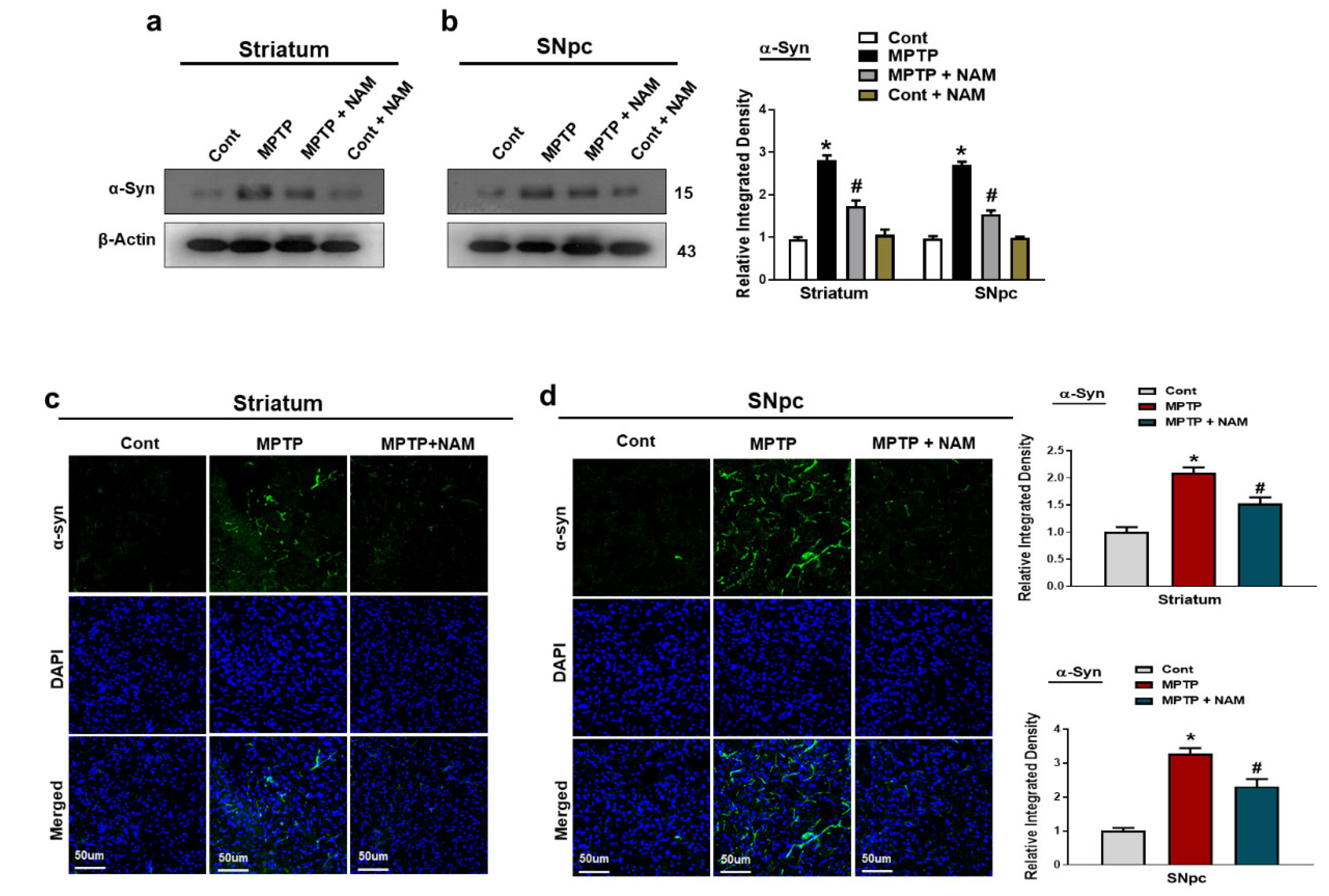 Biomedicines 10 02929 g003 Biomedicines 10 02929 g003