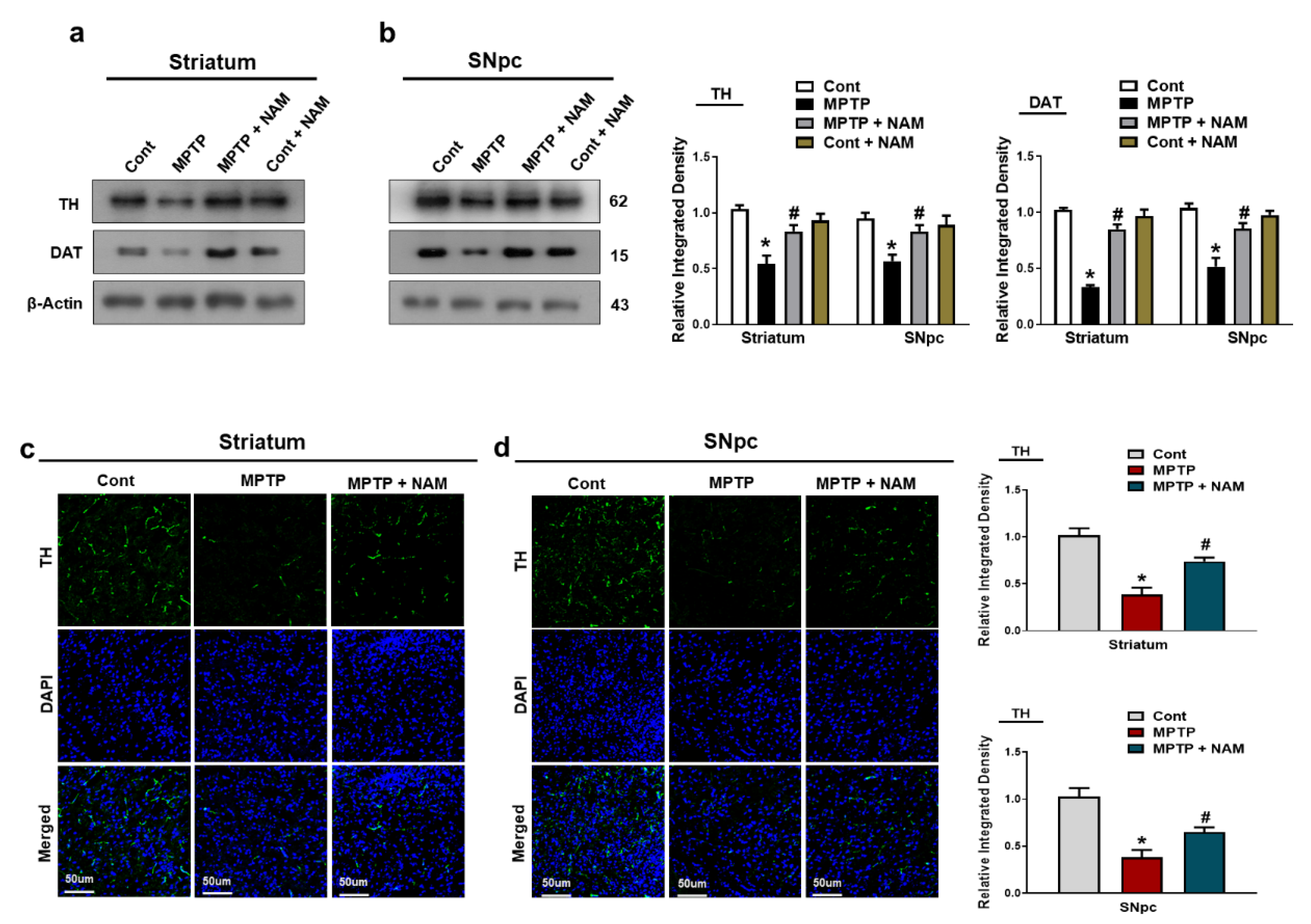 Biomedicines 10 02929 g004 Biomedicines 10 02929 g004