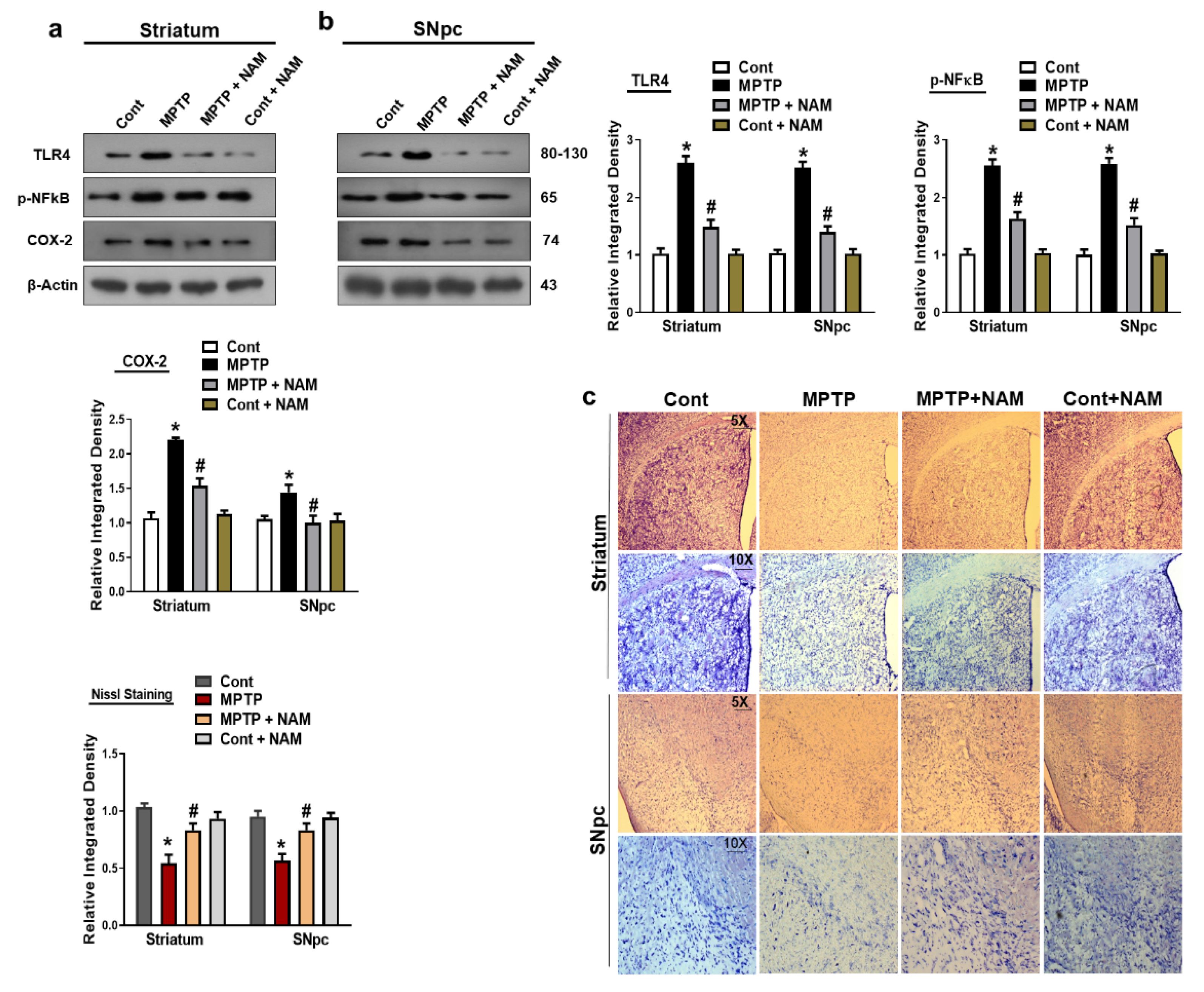 Biomedicines 10 02929 g006 Biomedicines 10 02929 g006