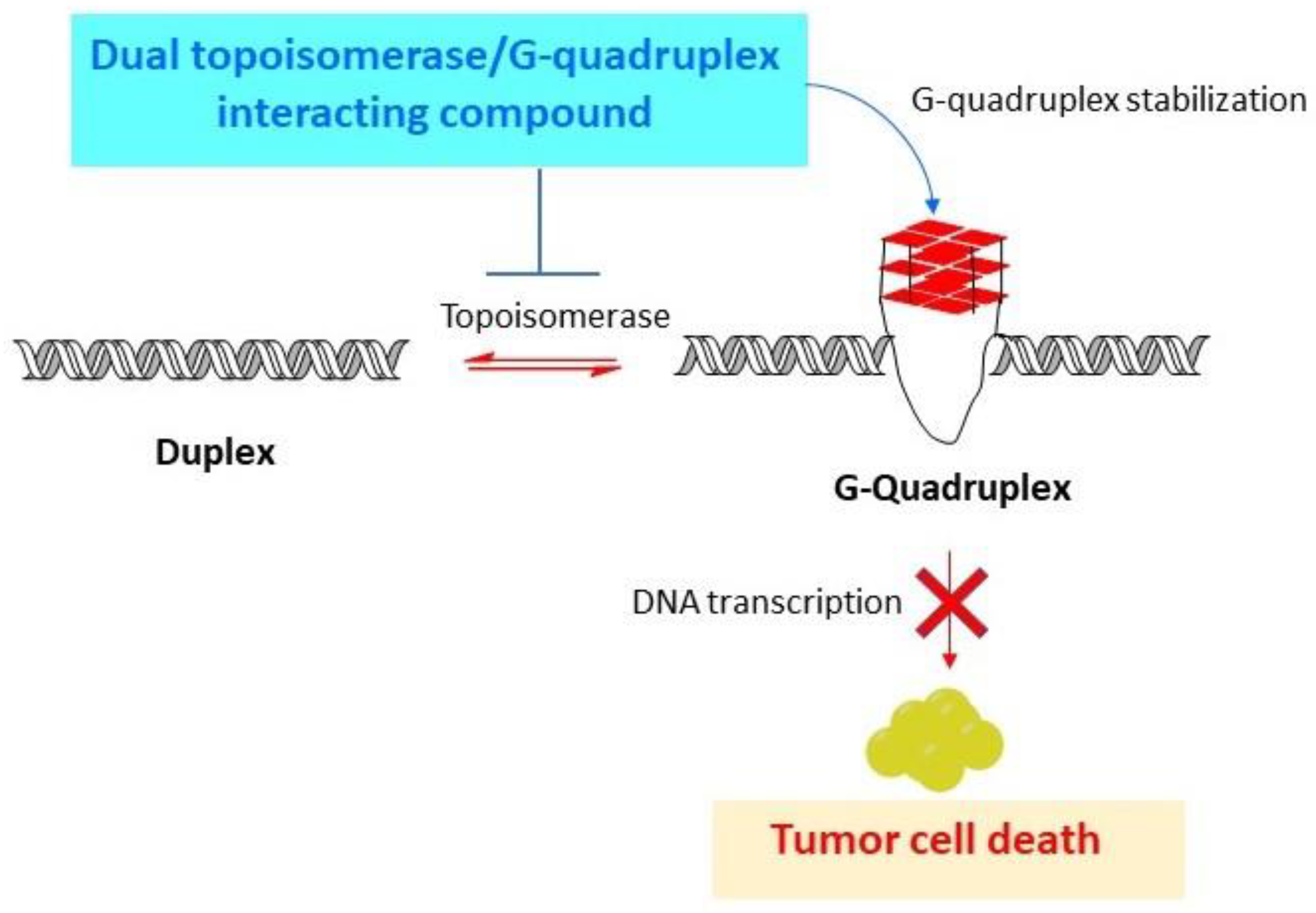 Biomedicines 10 02932 g002