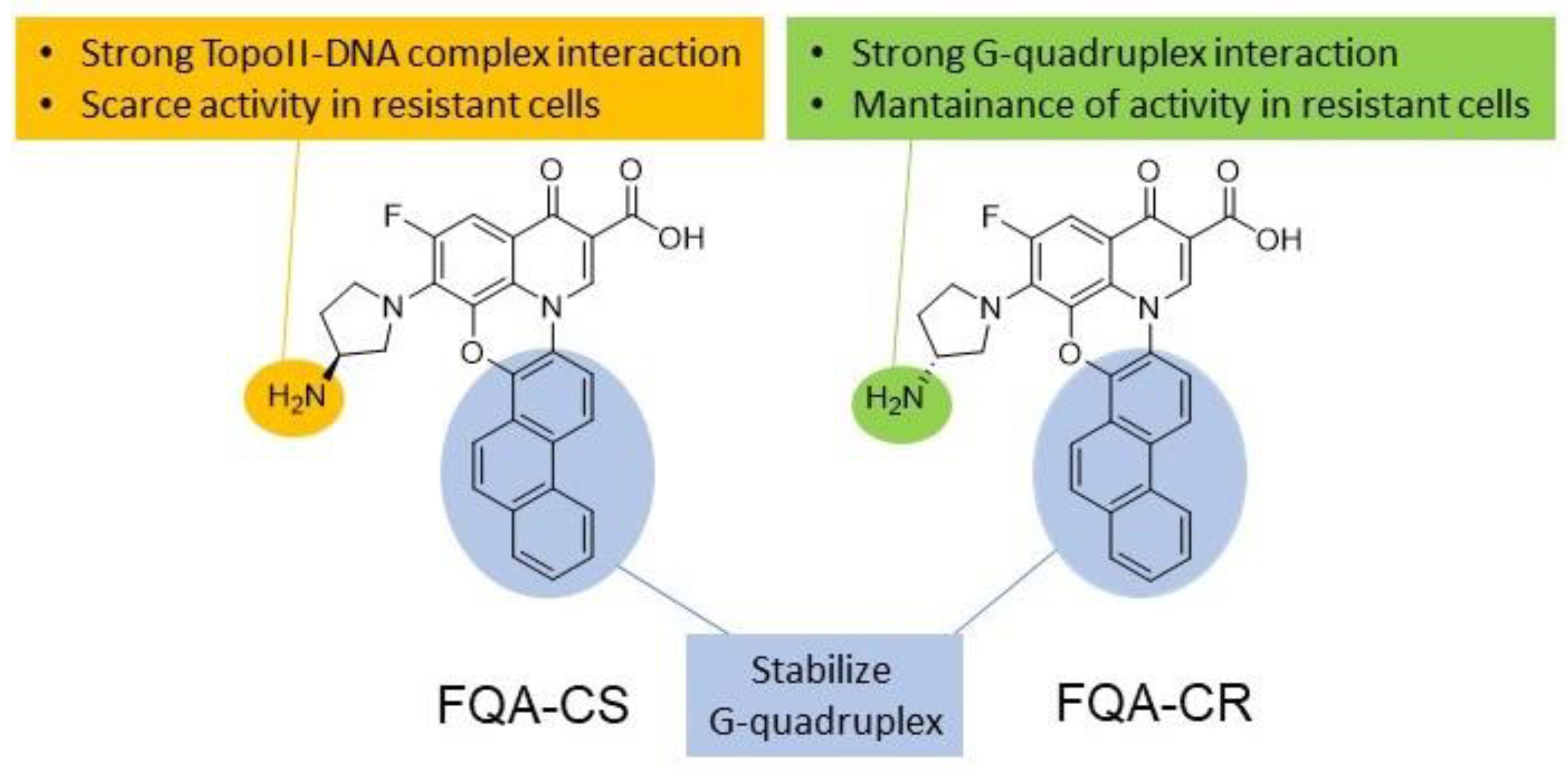 Biomedicines 10 02932 g003