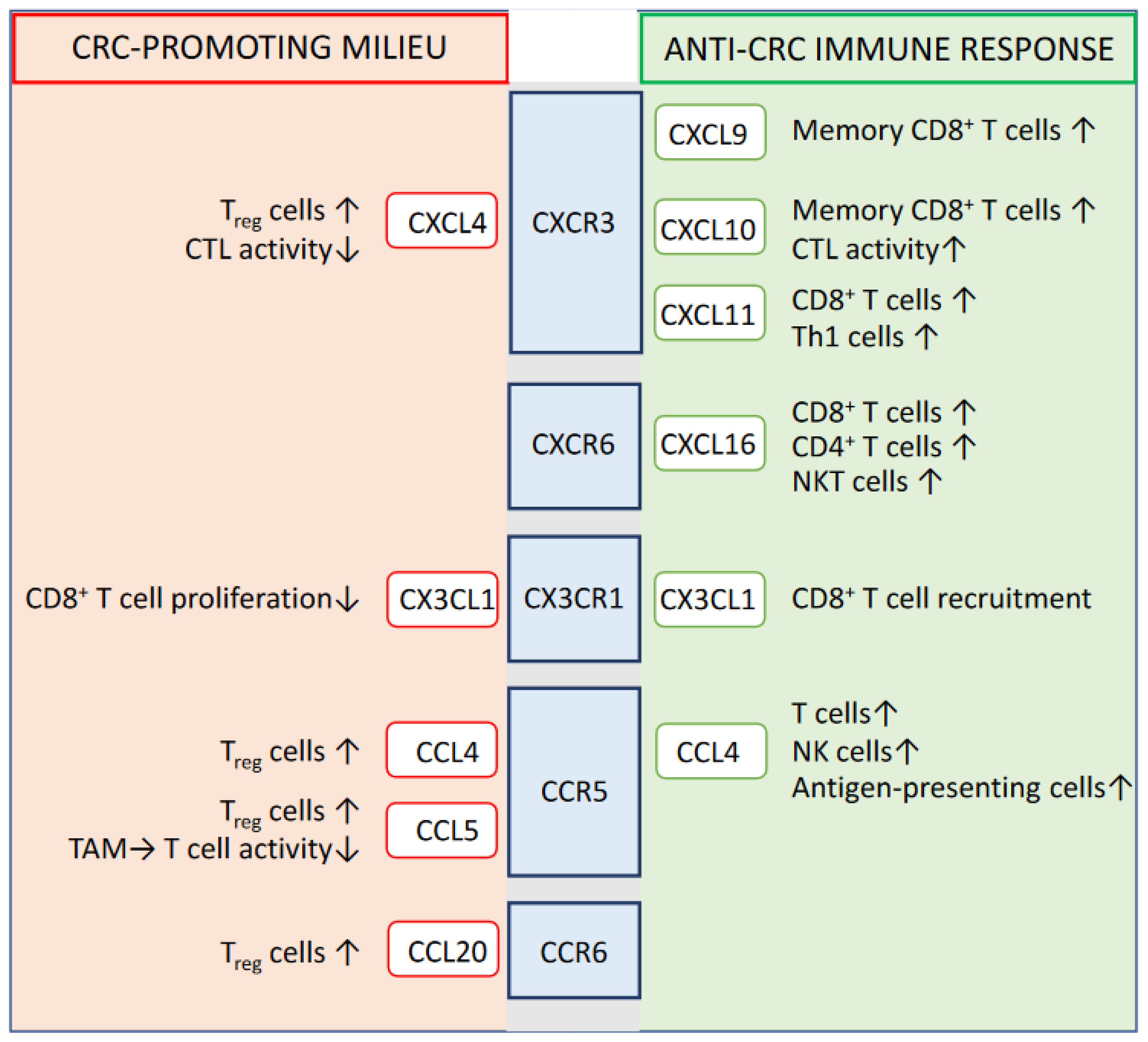 Biomedicines 10 02940 g001 Biomedicines 10 02940 g001