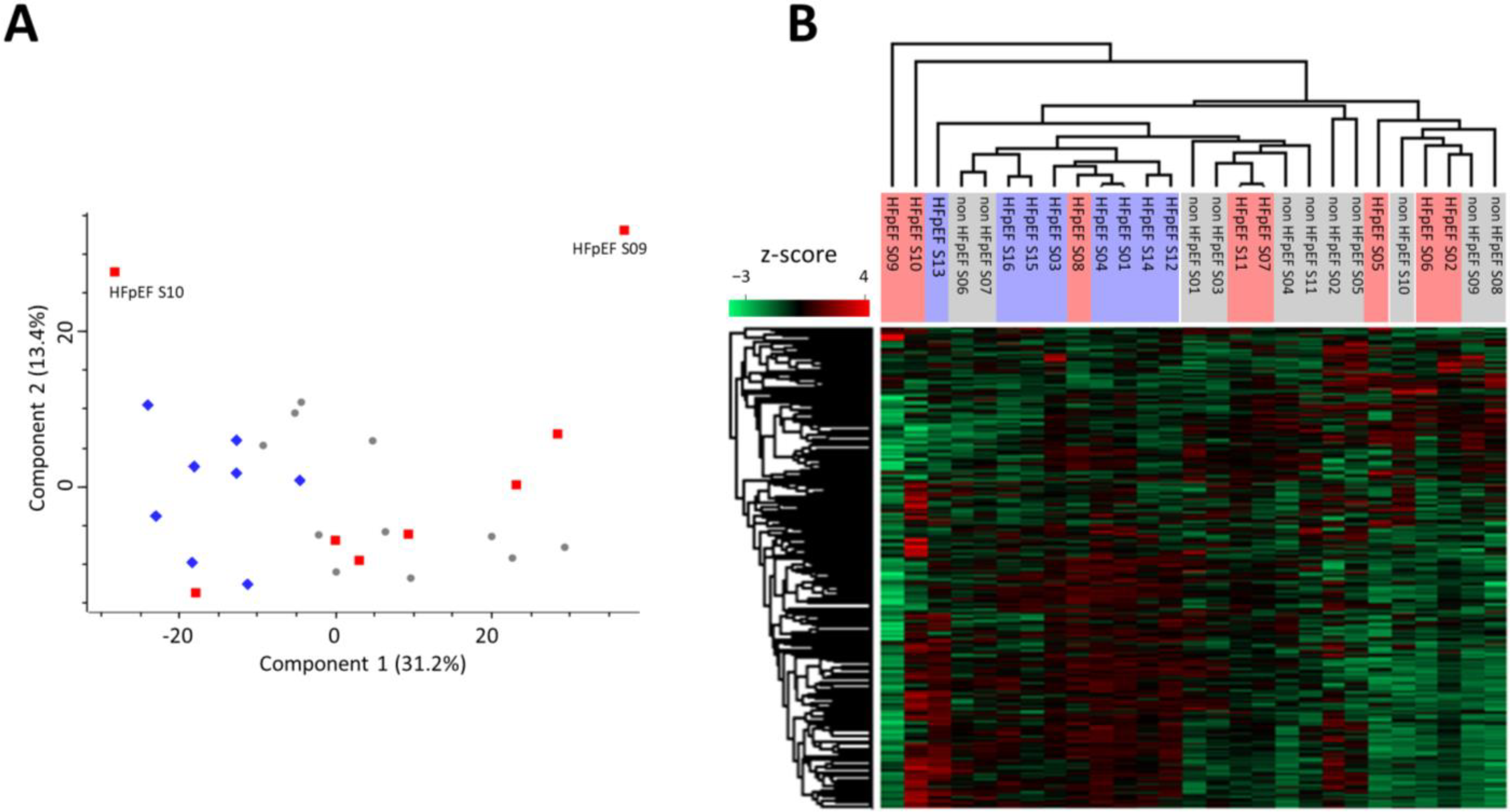 Biomedicines 10 02943 g001