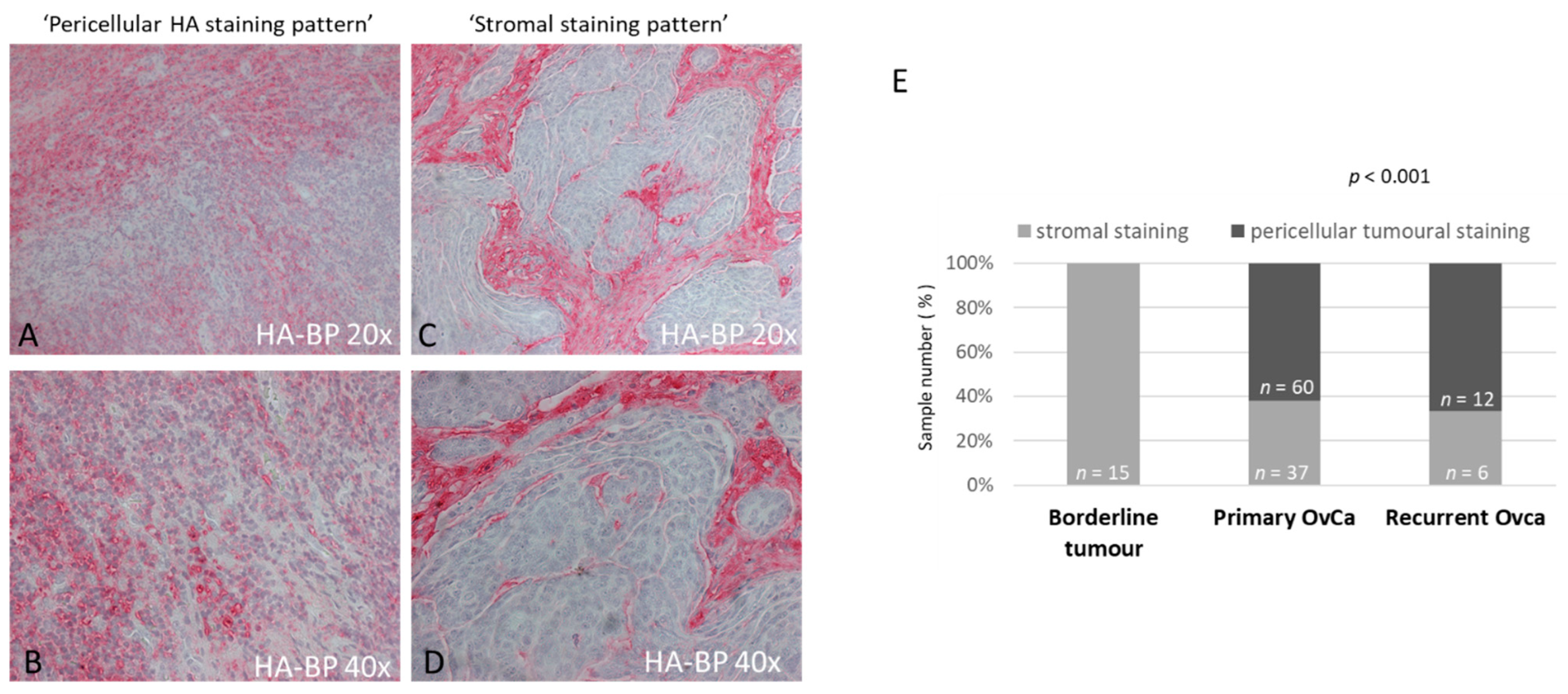 Biomedicines 10 02944 g001