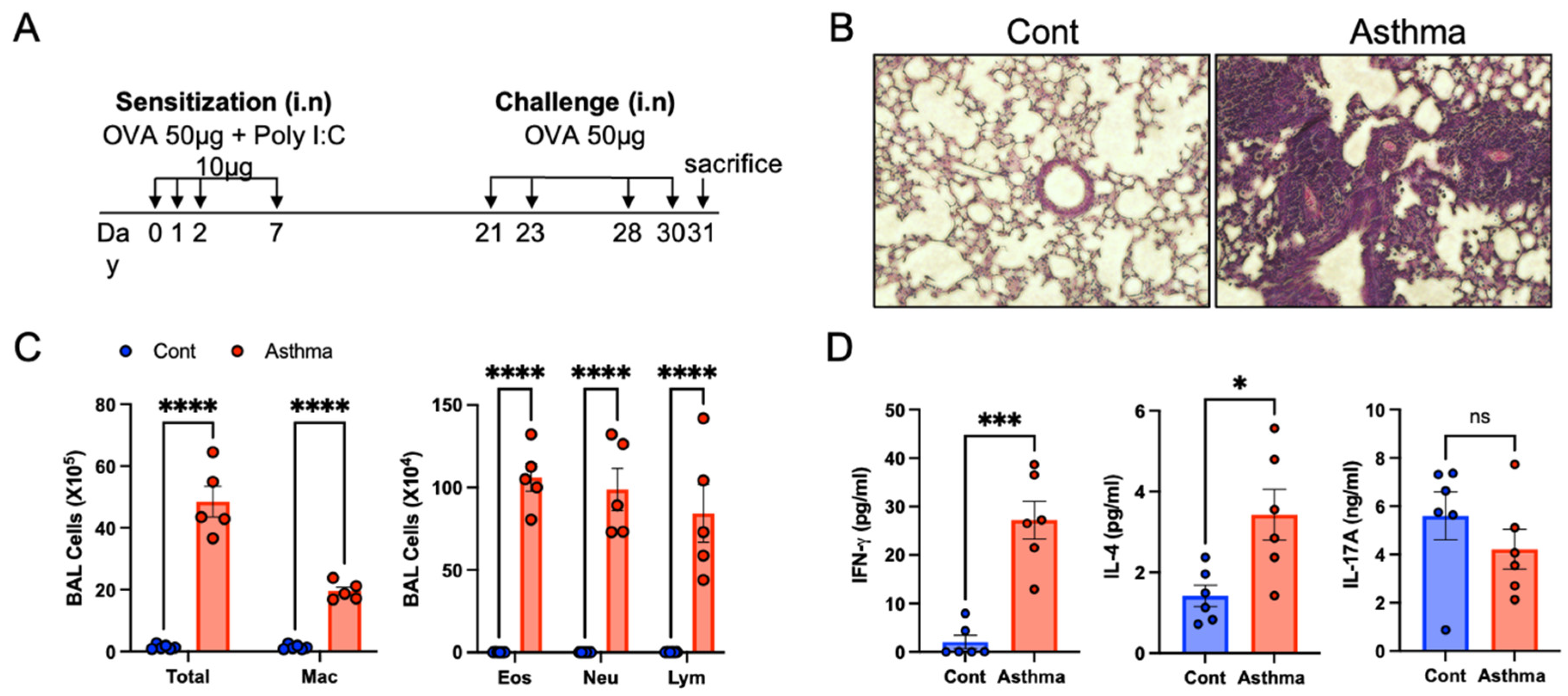 Biomedicines 10 02946 g001 Biomedicines 10 02946 g001