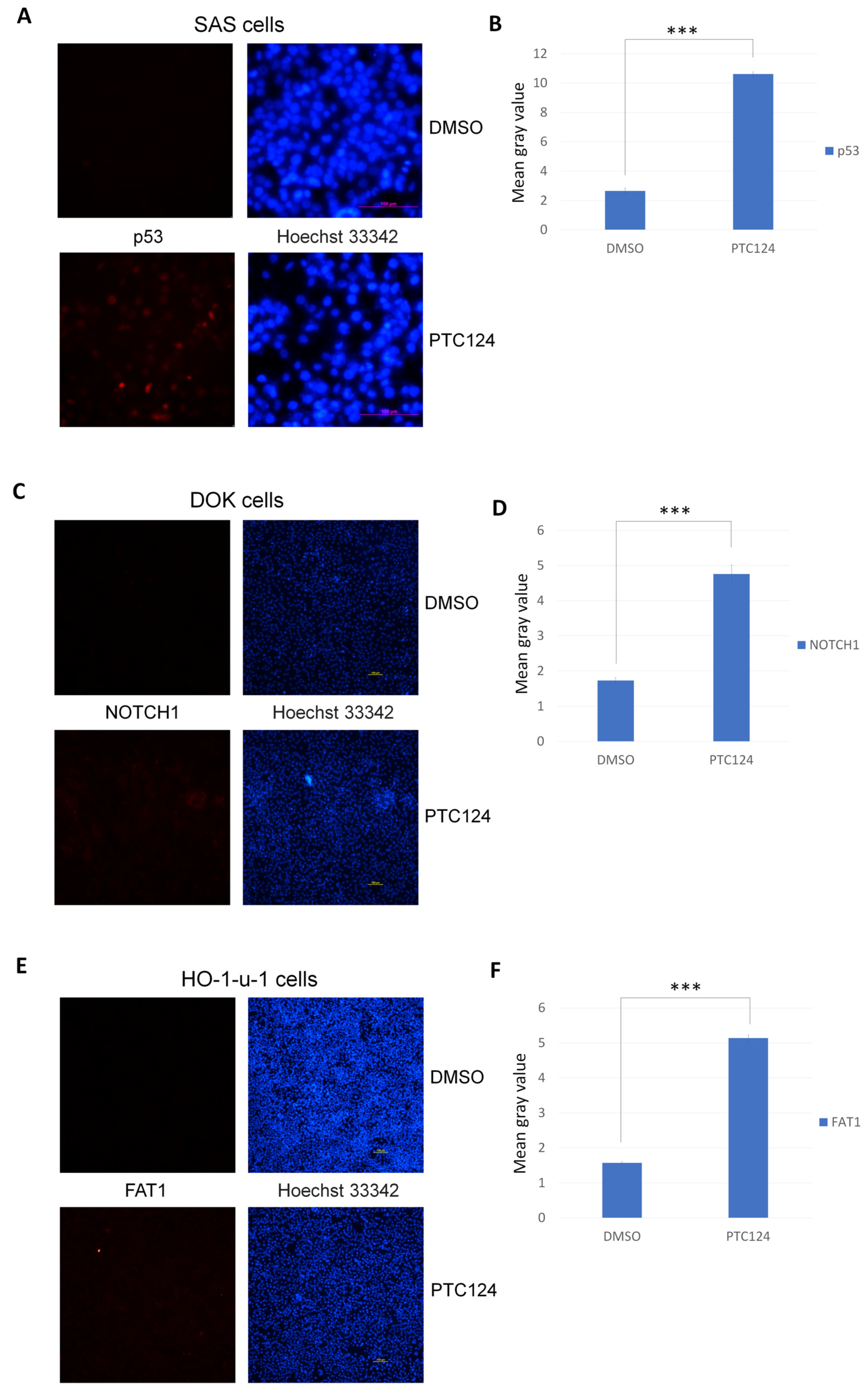 Biomedicines 10 02948 g002 Biomedicines 10 02948 g002