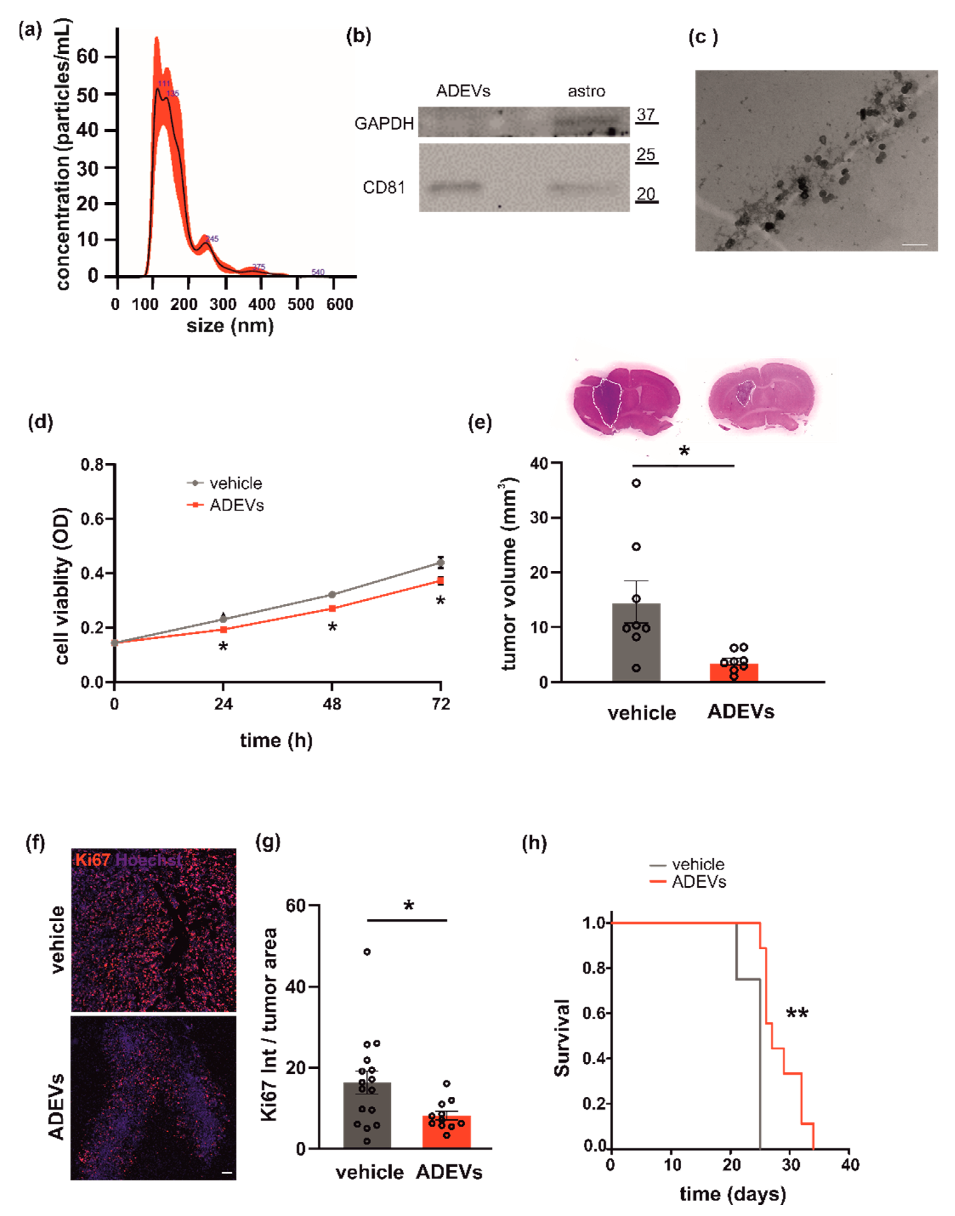 Biomedicines 10 02952 g001 Biomedicines 10 02952 g001