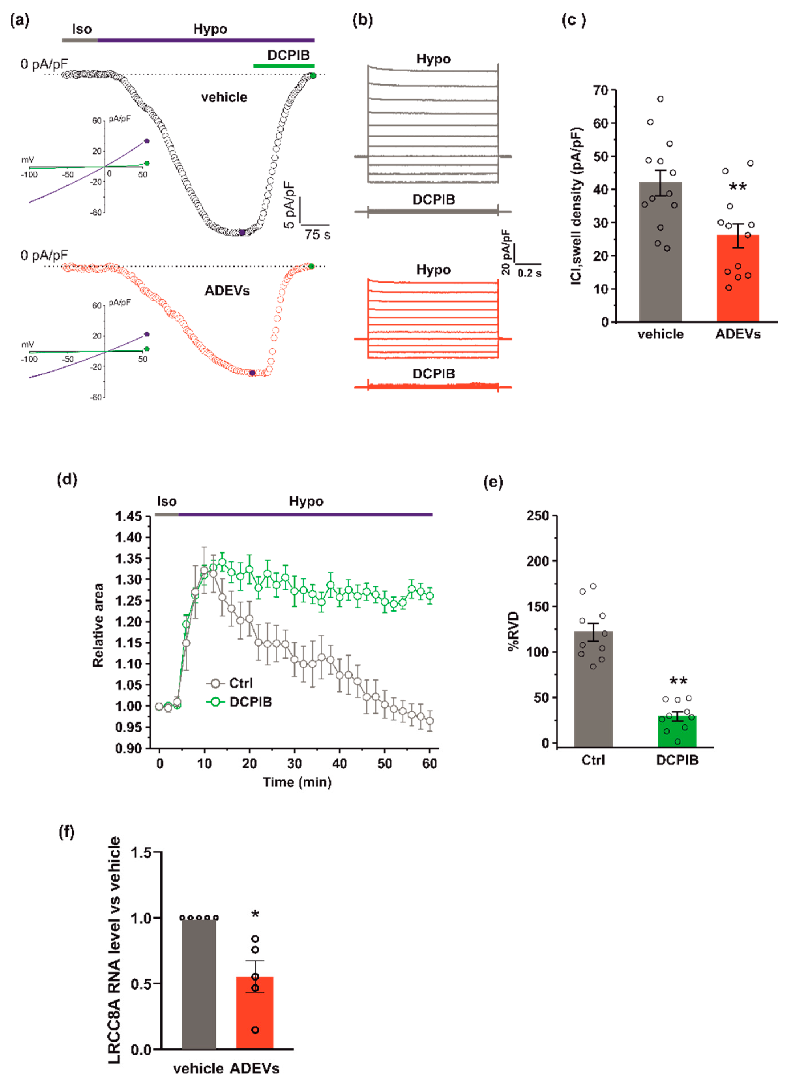 Biomedicines 10 02952 g003 Biomedicines 10 02952 g003