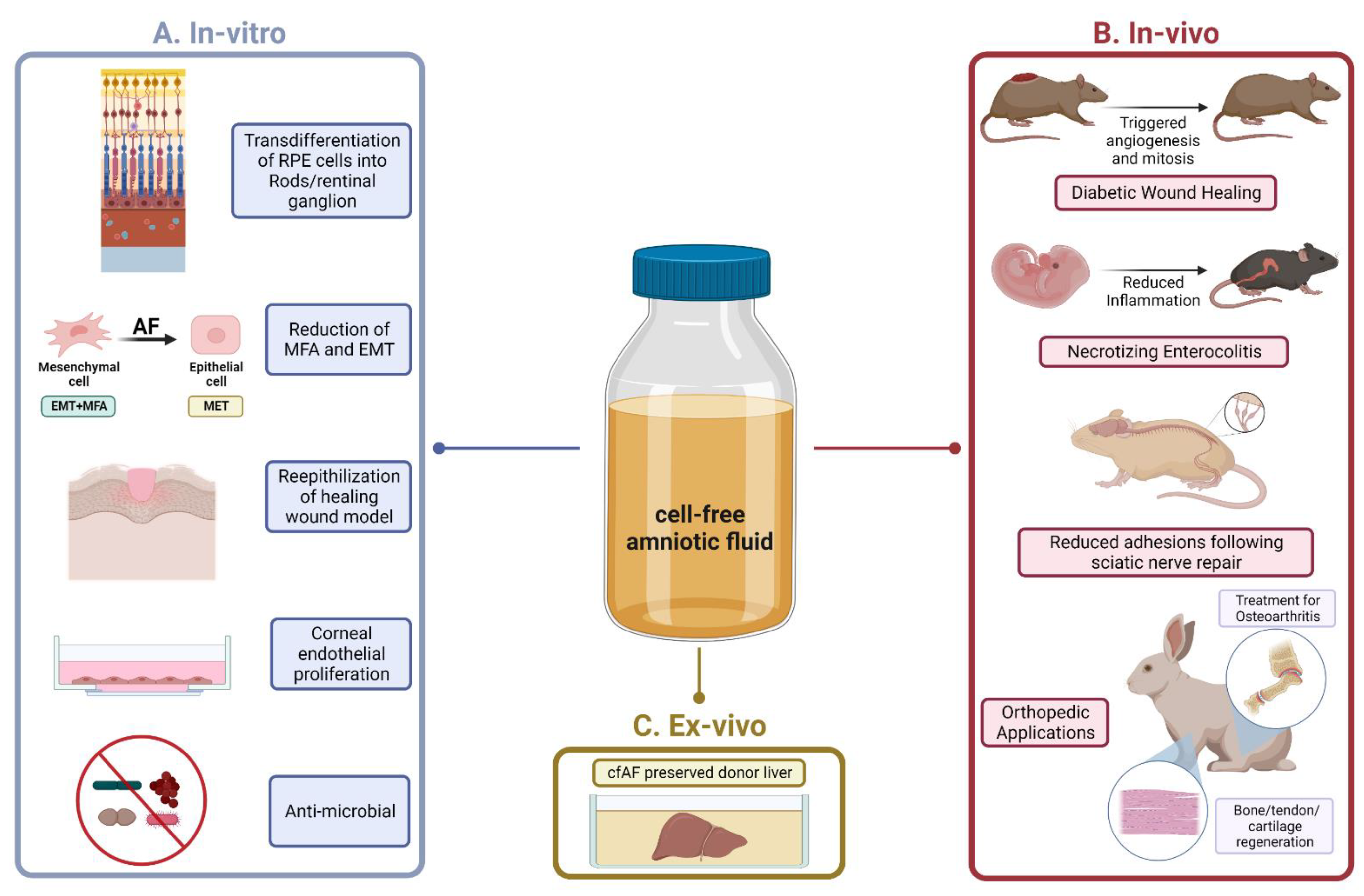 Biomedicines 10 02960 g003 Biomedicines 10 02960 g003
