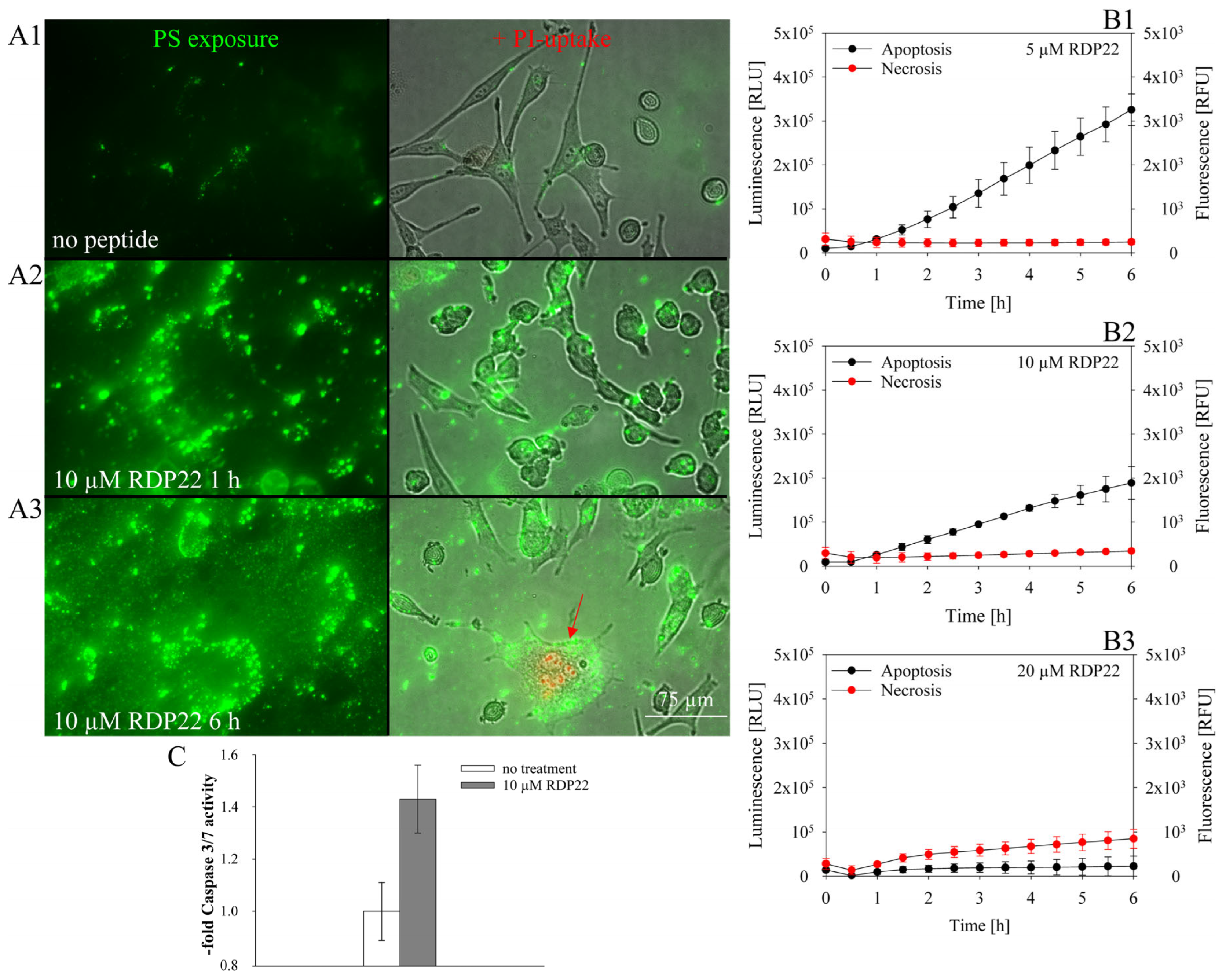 Biomedicines 10 02961 g004