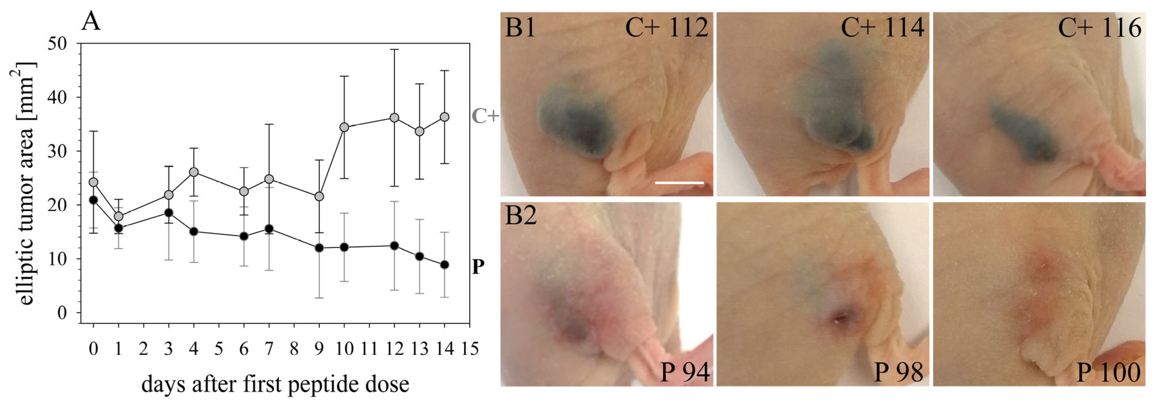 Biomedicines 10 02961 g009