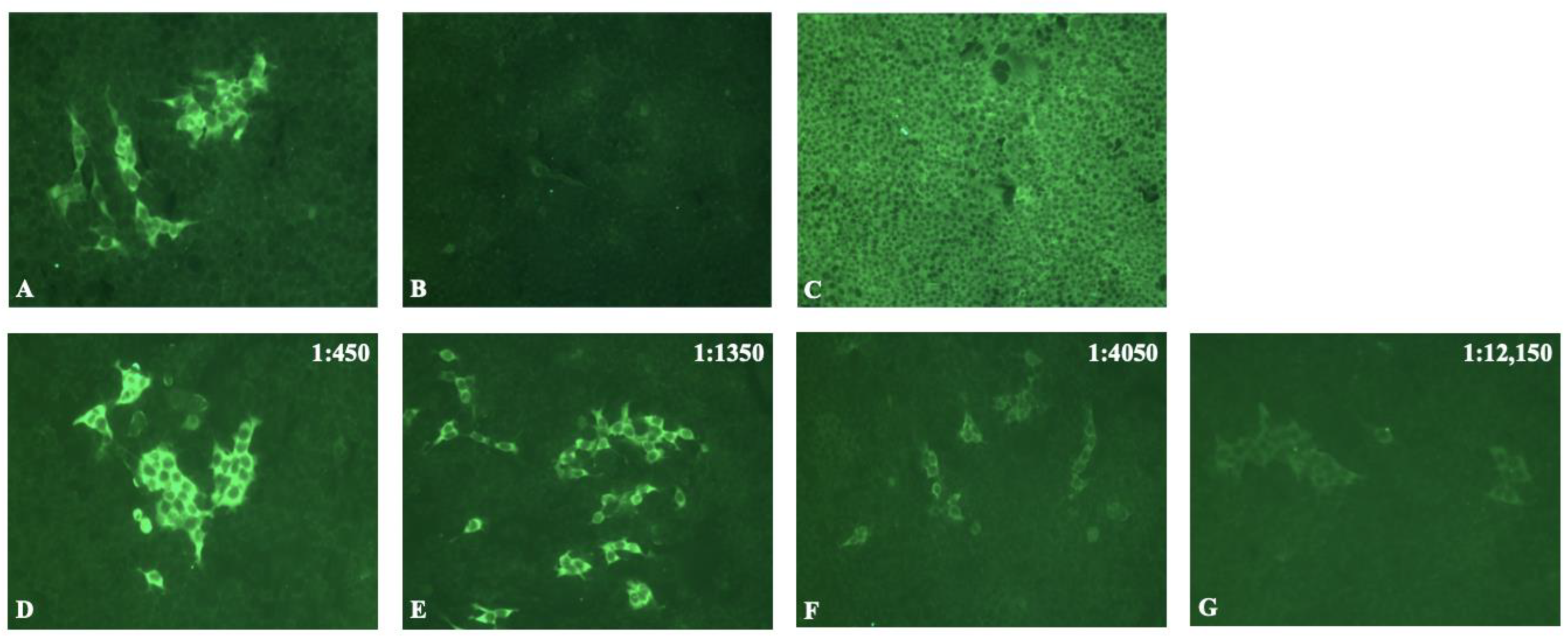 Biomedicines 10 02969 g001
