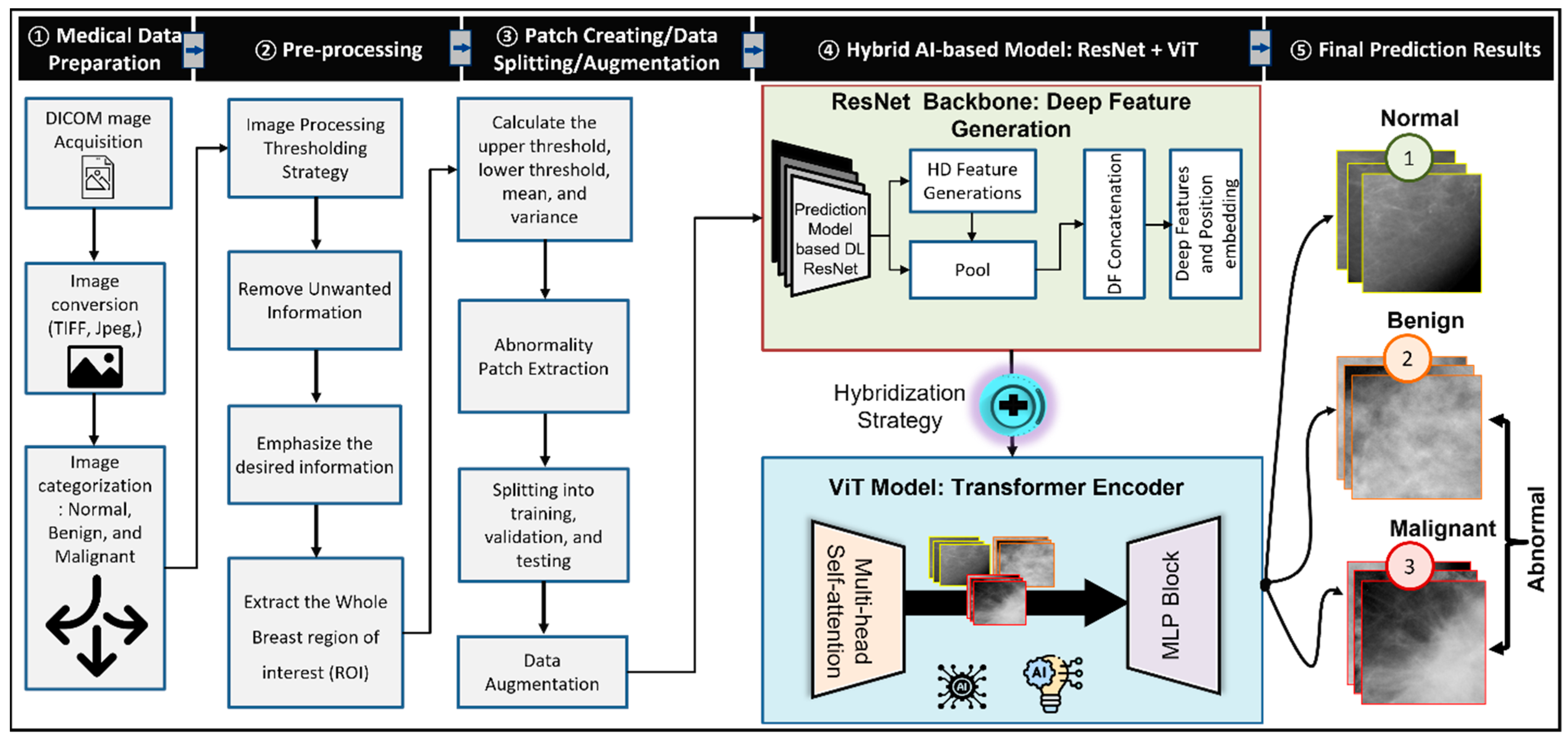 Biomedicines 10 02971 g002