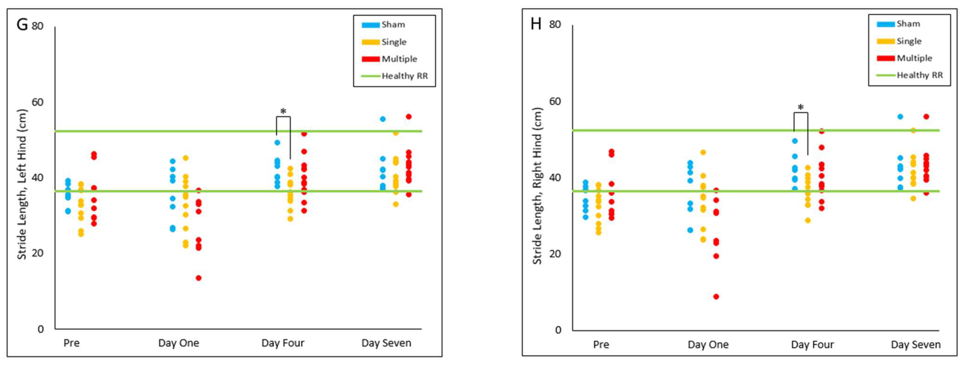 Biomedicines 10 02976 g007b