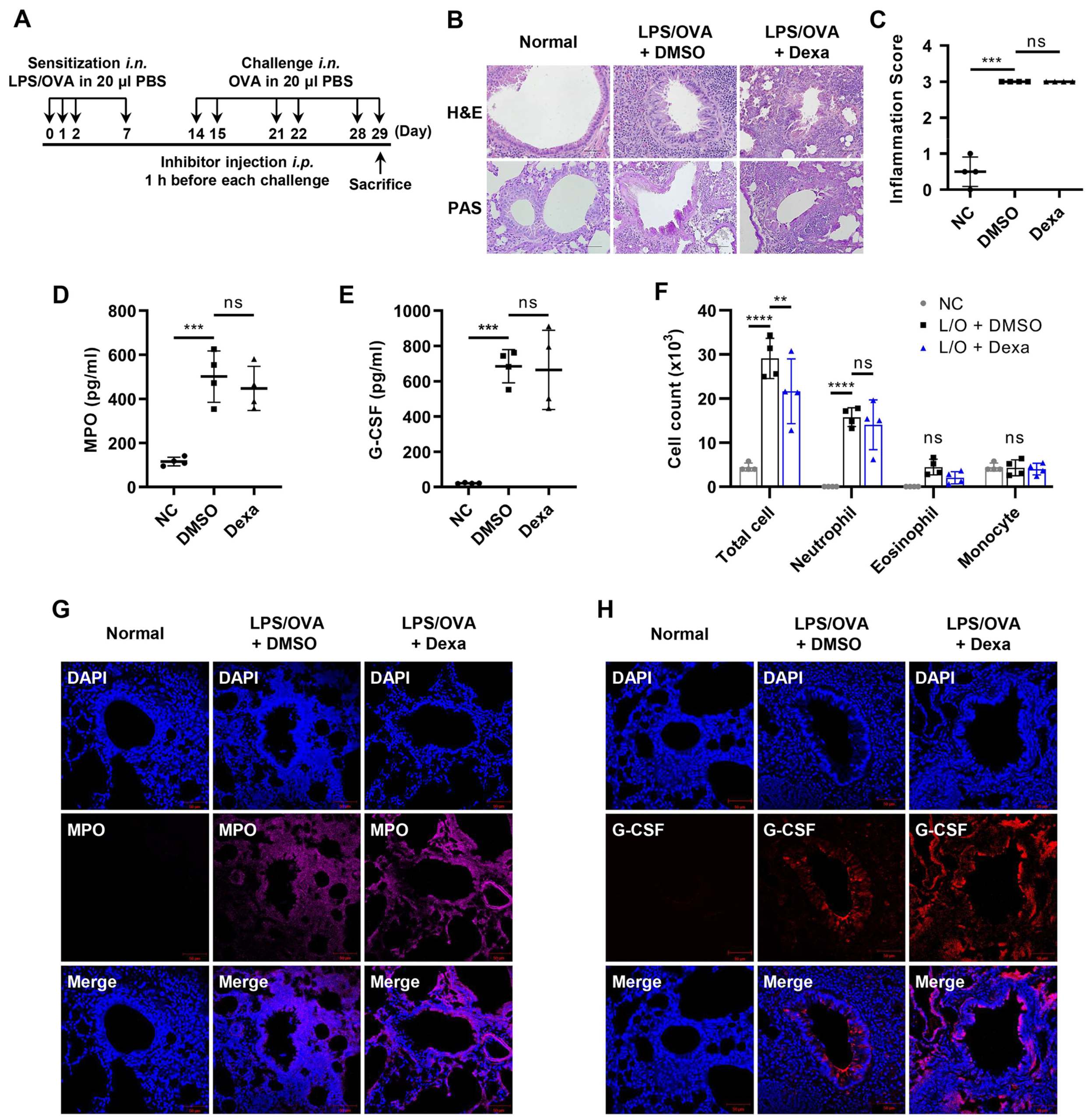 Biomedicines 10 02979 g001