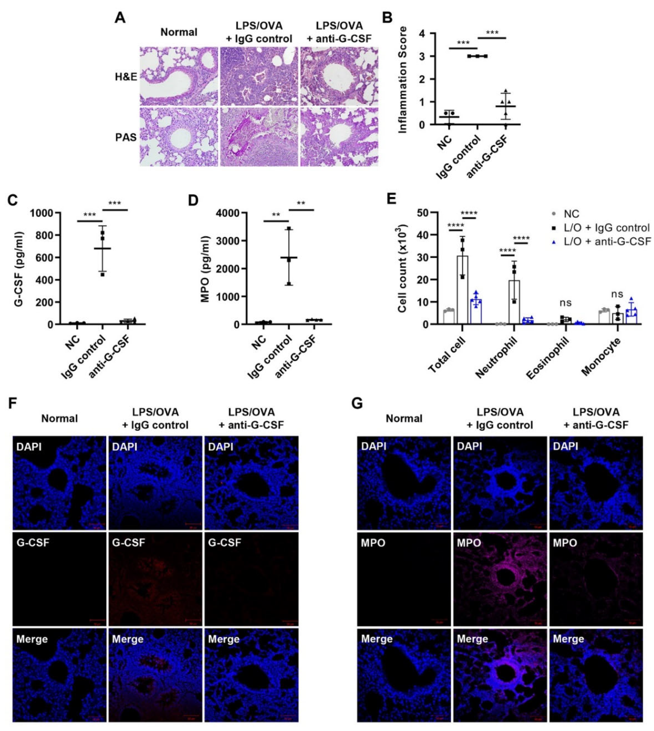Biomedicines 10 02979 g002