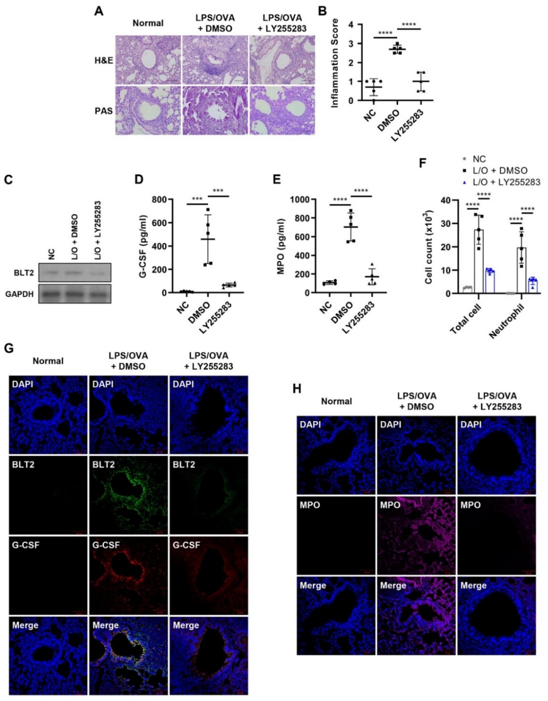 Biomedicines 10 02979 g003