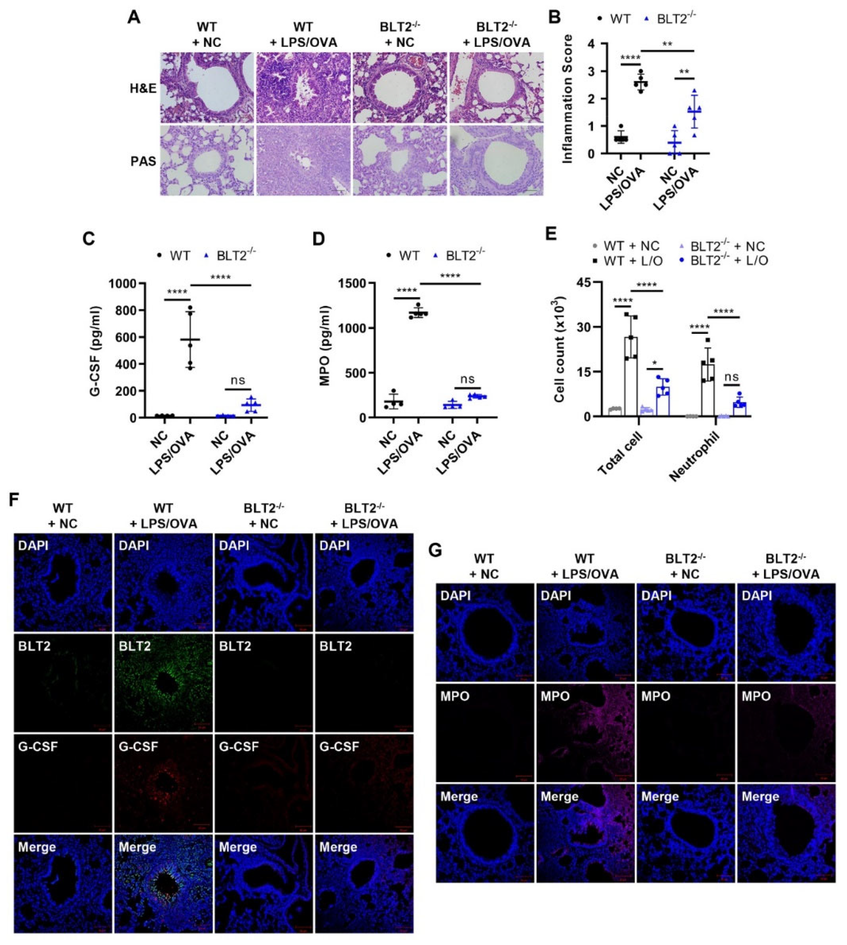 Biomedicines 10 02979 g004