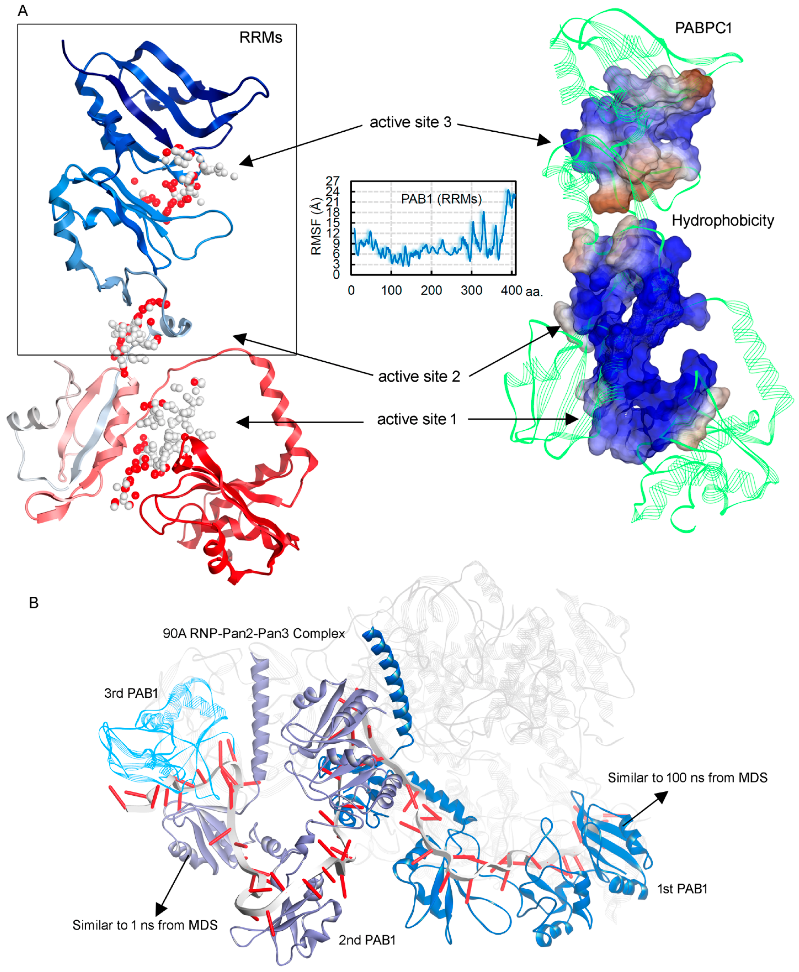 Biomedicines 10 02981 g007