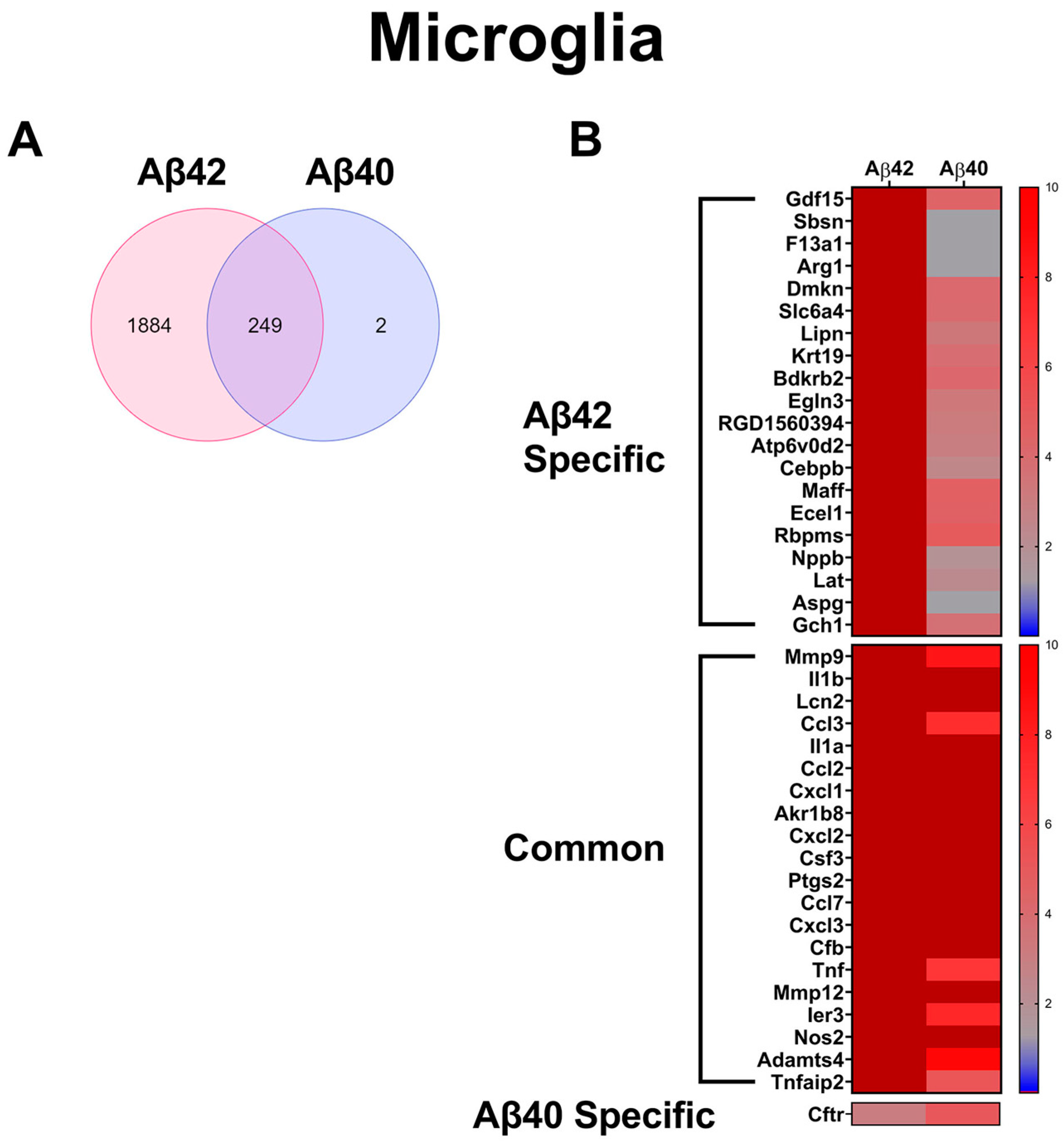 Biomedicines 10 02982 g005 Biomedicines 10 02982 g005