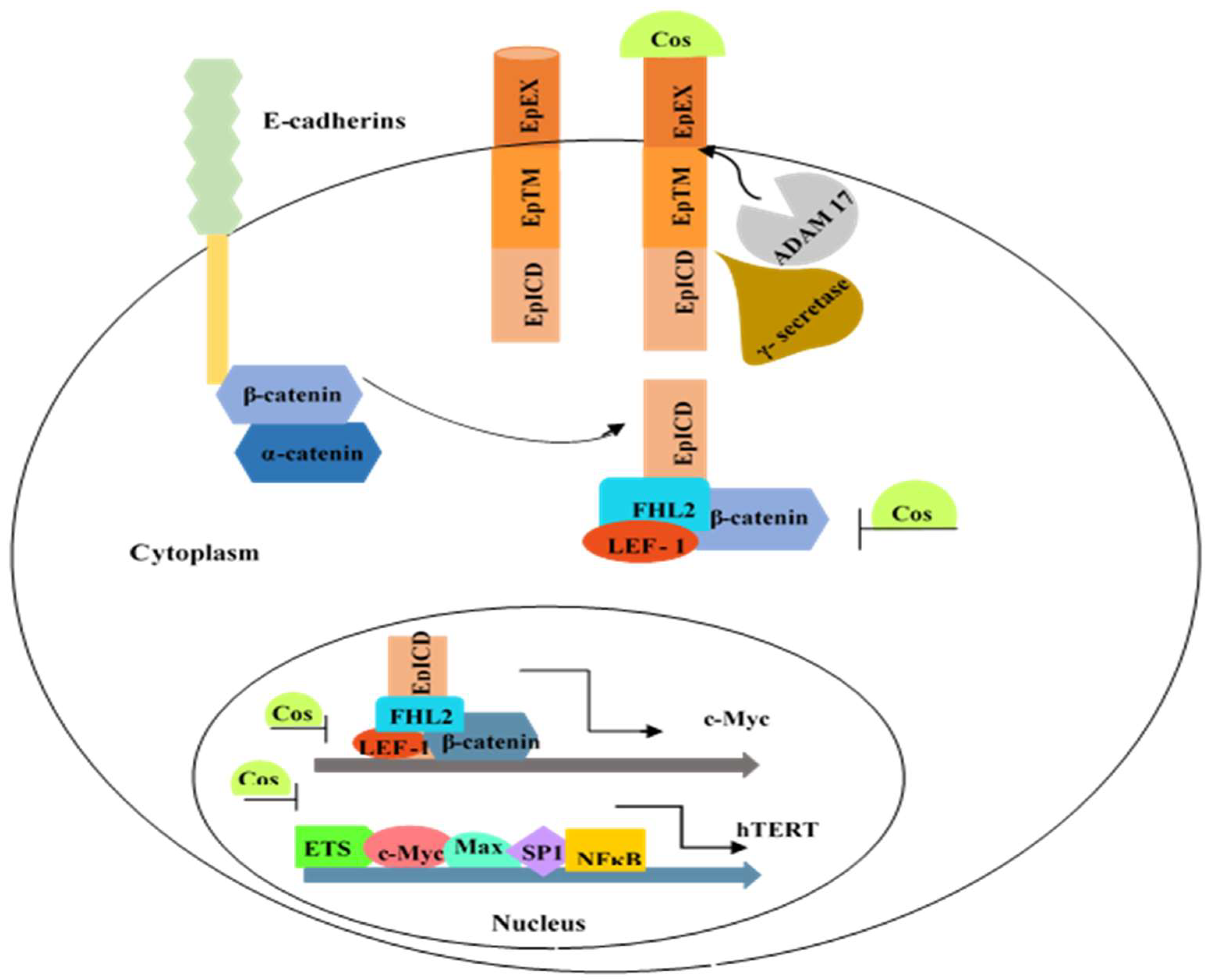 Biomedicines 10 02985 g001 Biomedicines 10 02985 g001