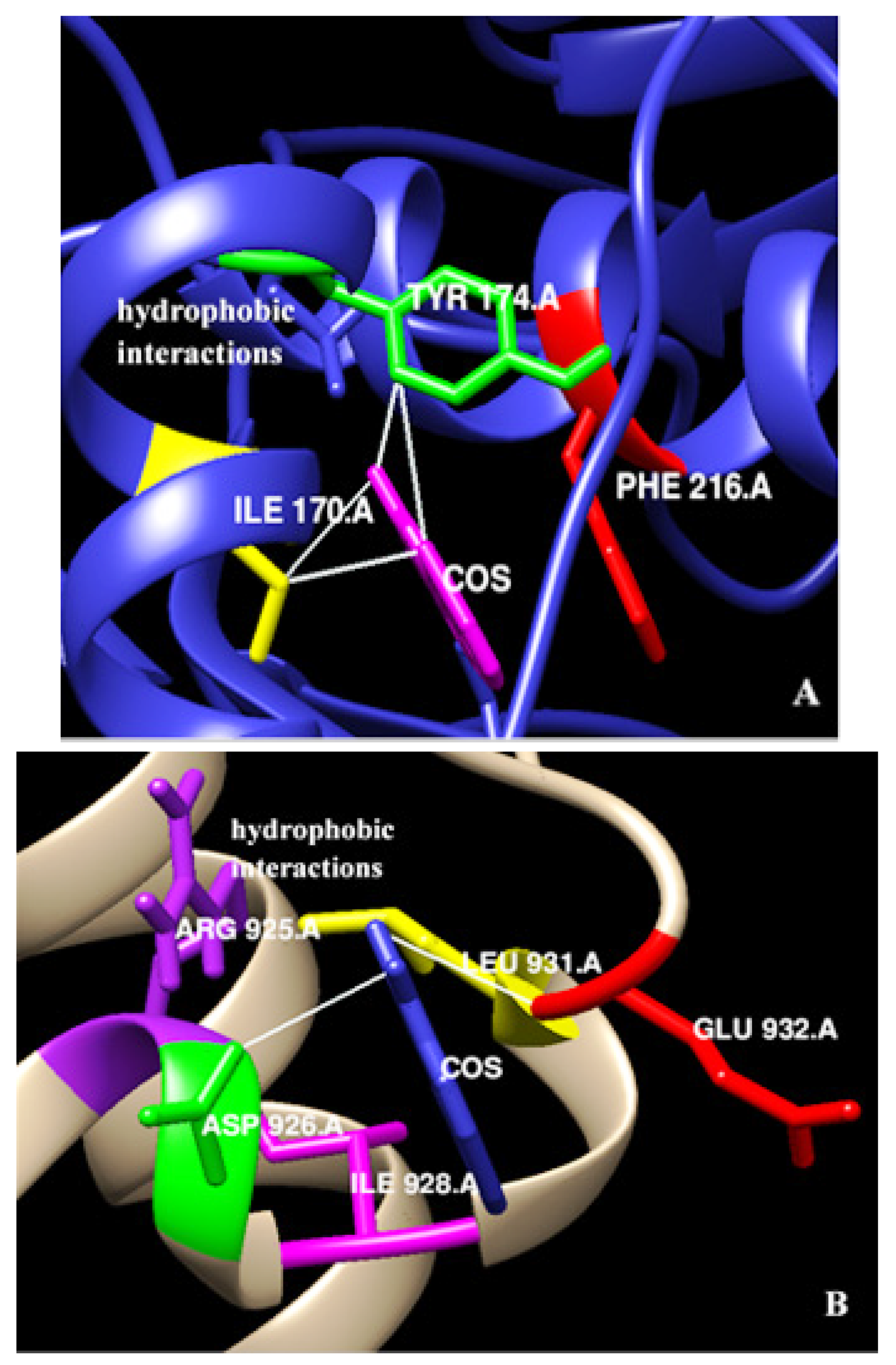 Biomedicines 10 02985 g005 Biomedicines 10 02985 g005