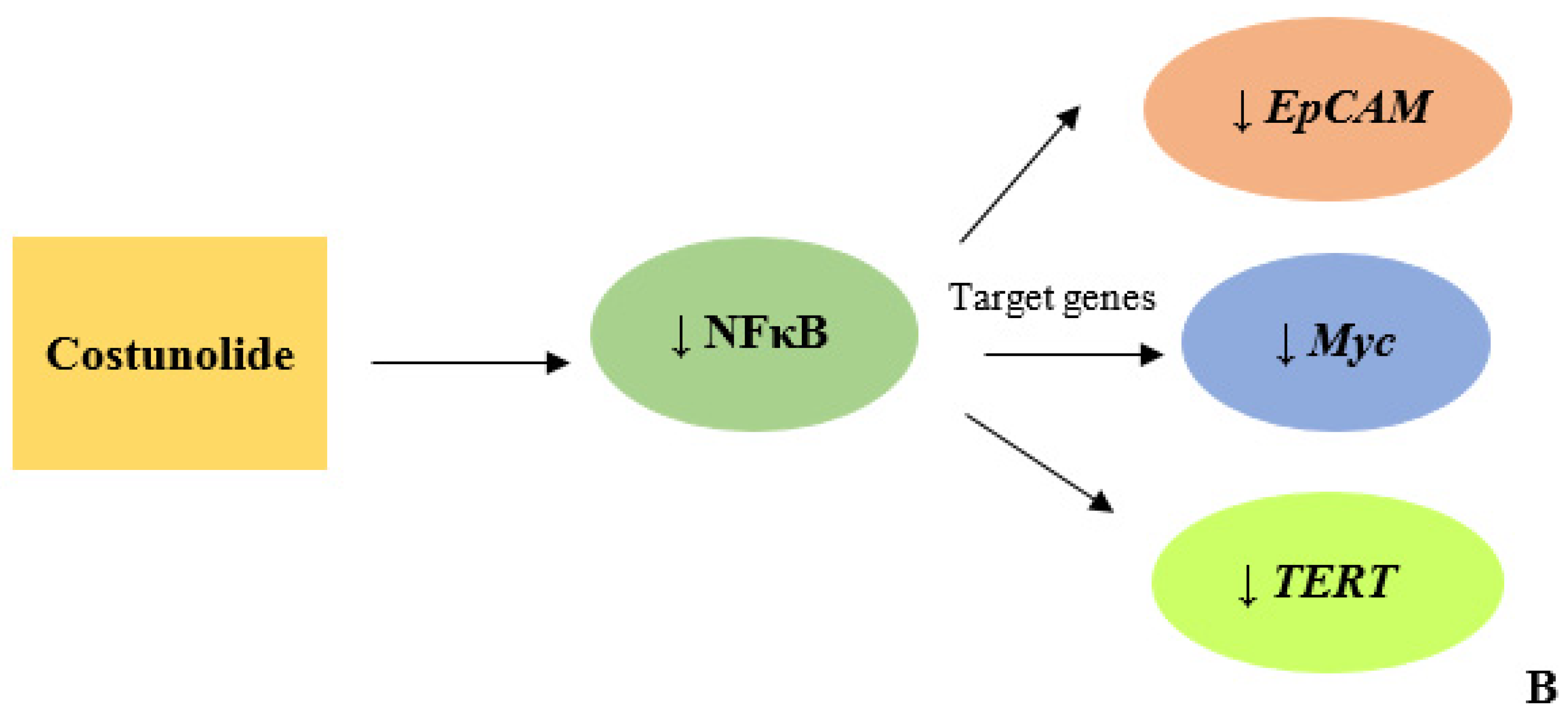 Biomedicines 10 02985 g006b Biomedicines 10 02985 g006b